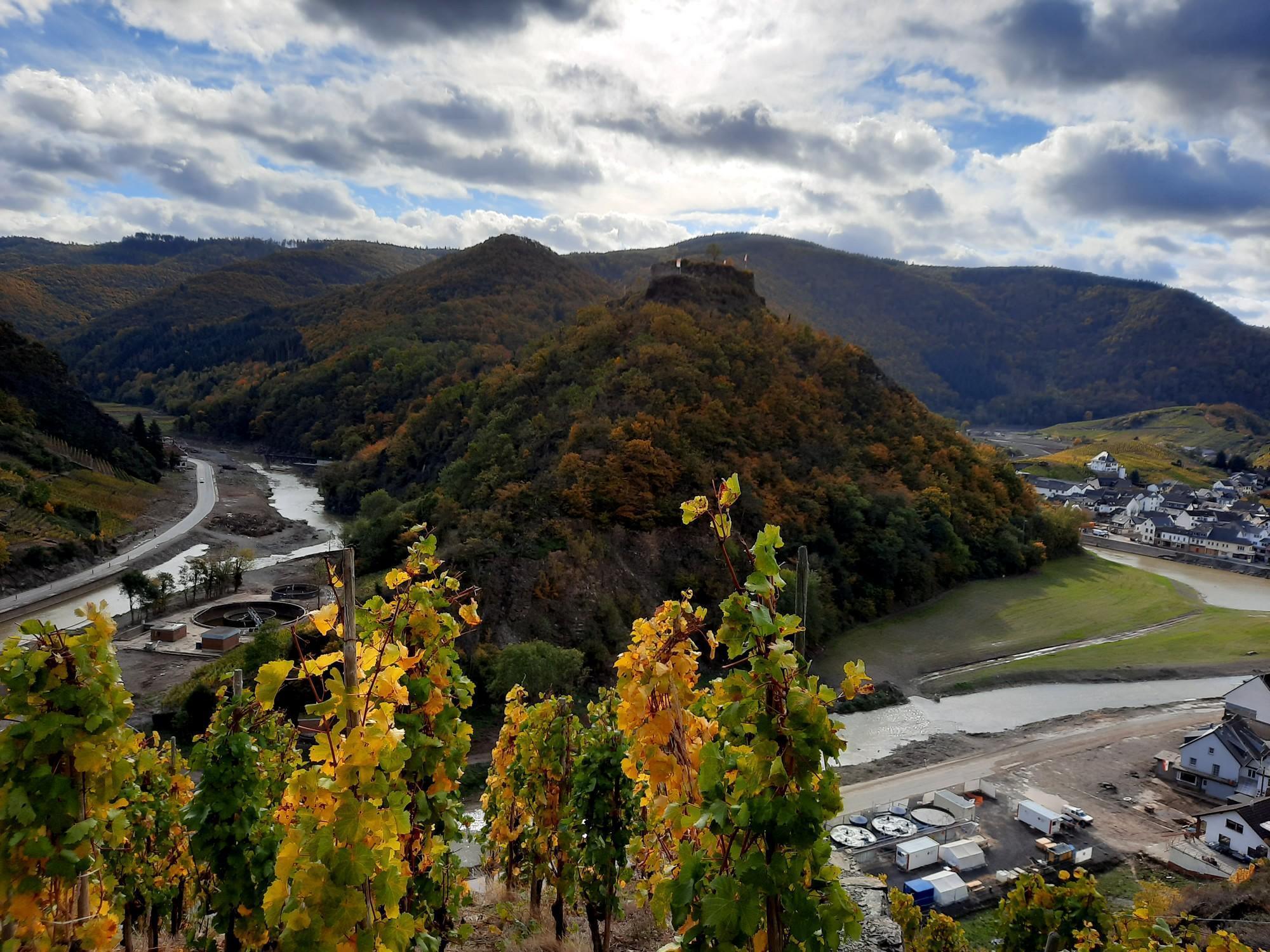 Things to Do around Thallichtenberg