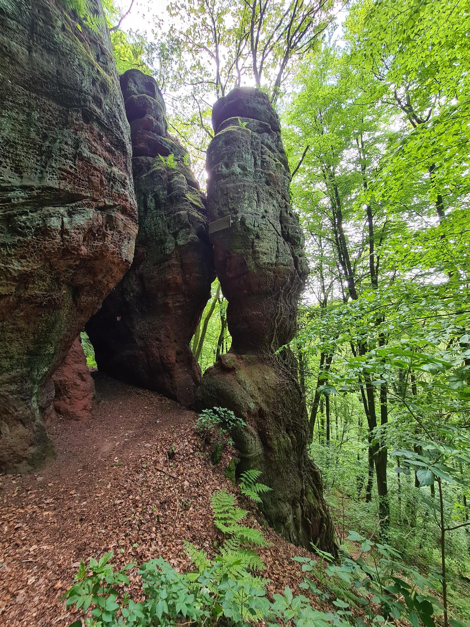 Activités autour de Kanzem