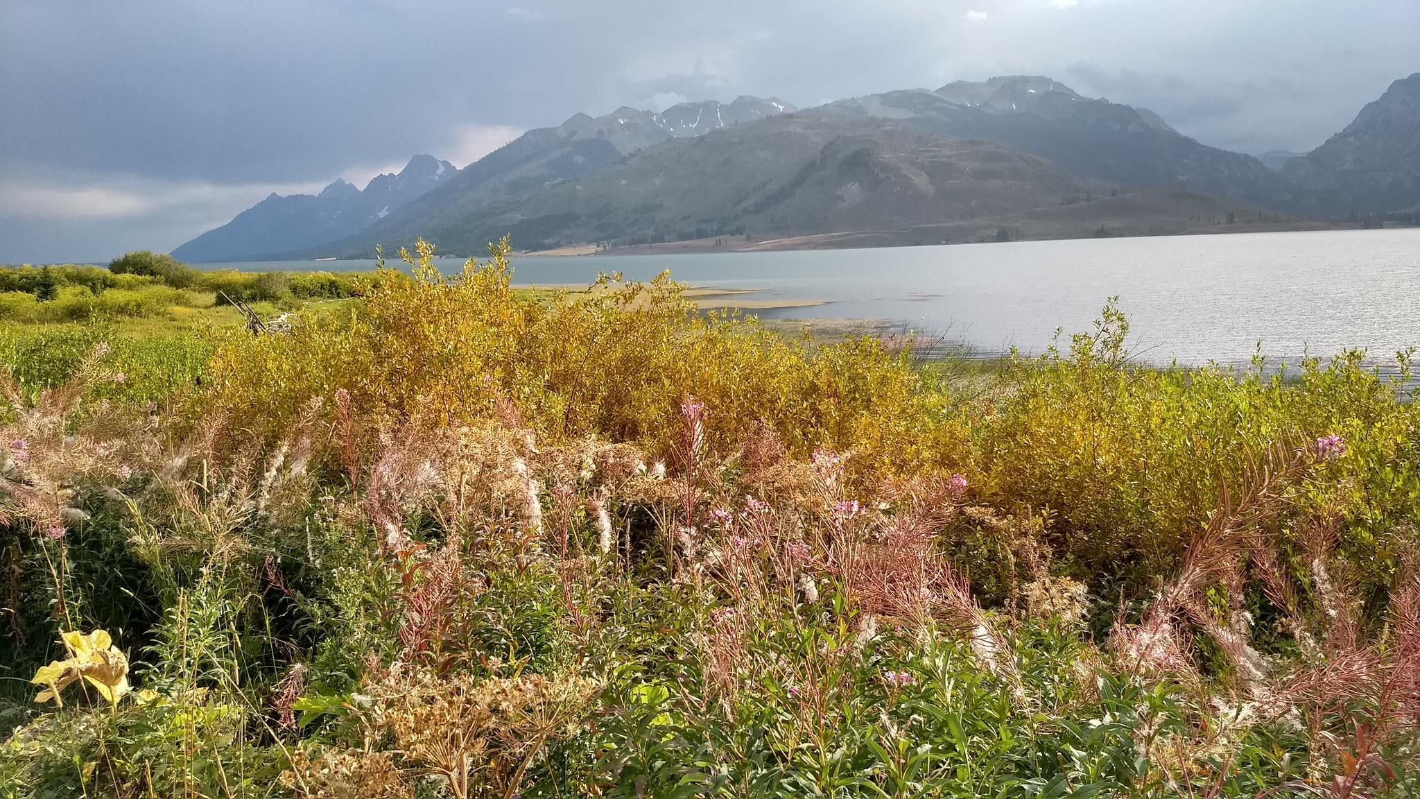 Cosas que hacer en Absaroka Range