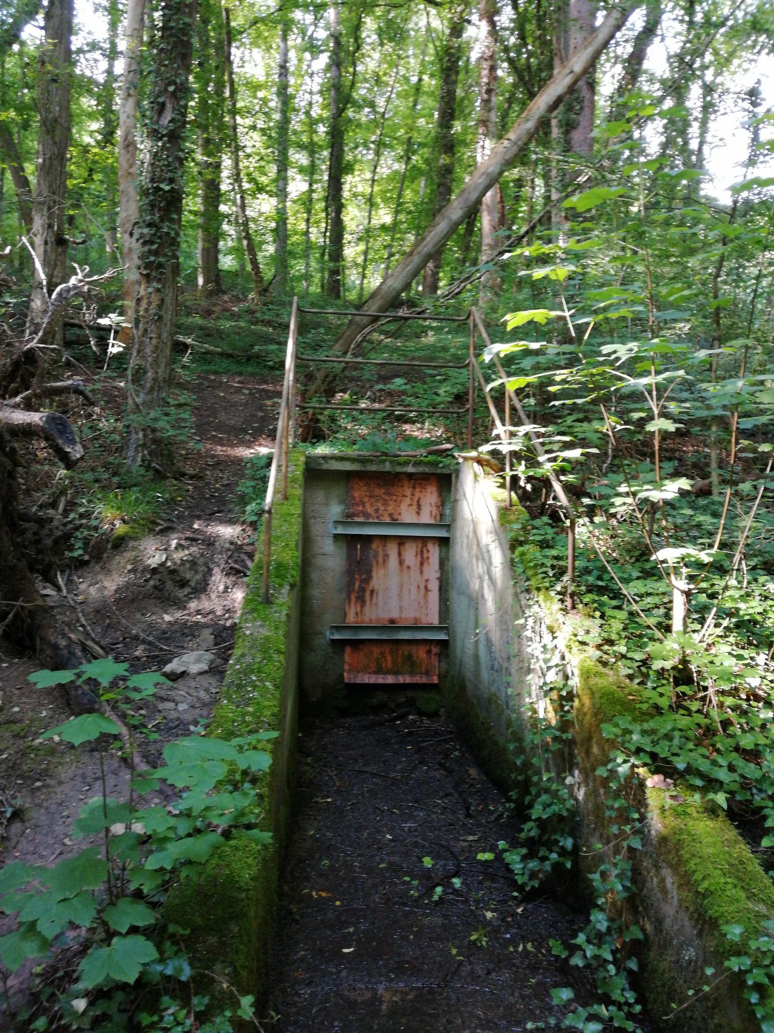 Wat te doen in de buurt van Danube-Ipoly National Park