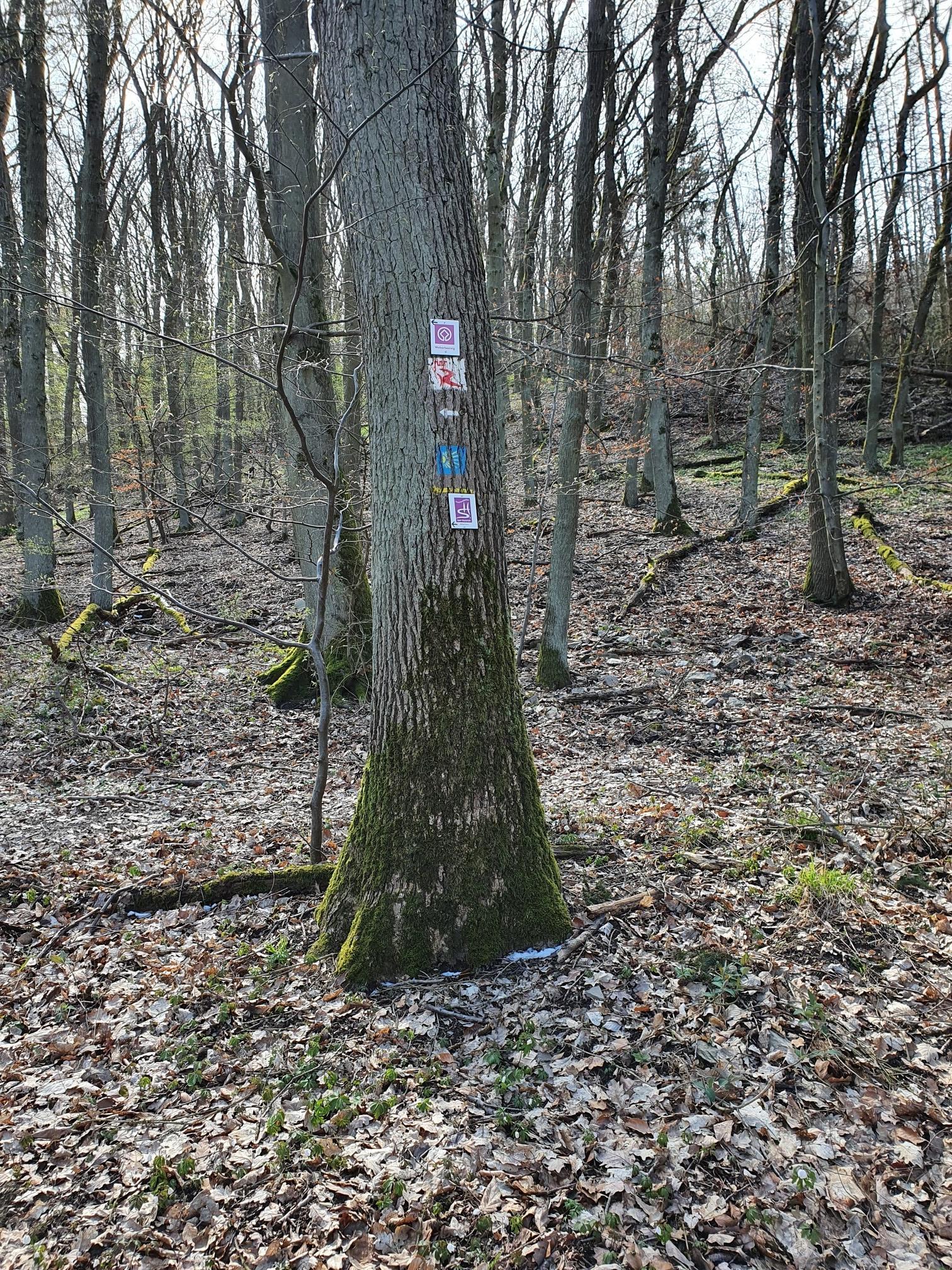 Aktivitäten rund um Mercallo