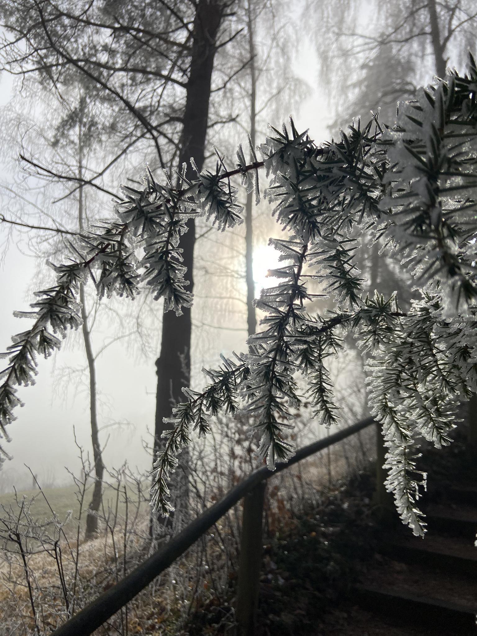 Co robić wokół Brightling