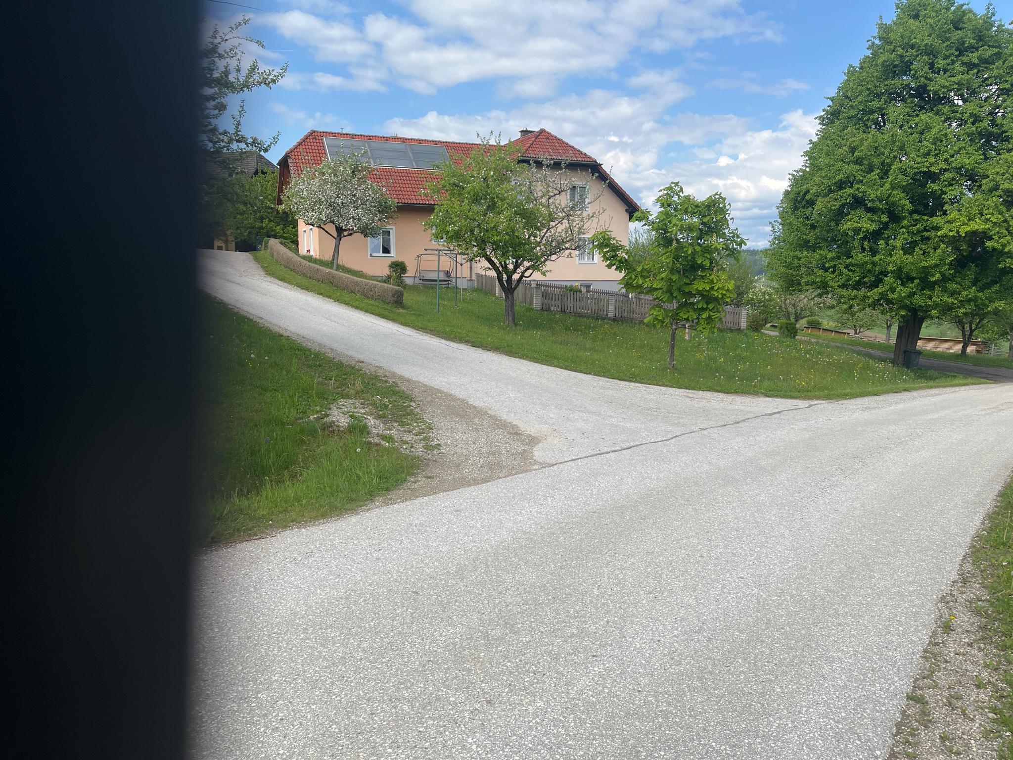 Aktivitäten rund um Panfield