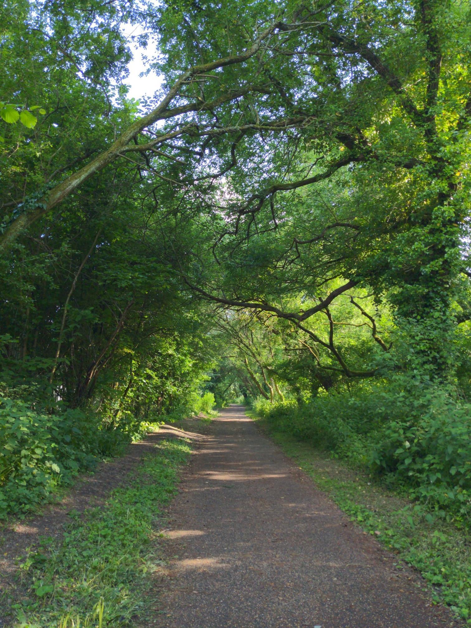 Things to Do around Randwick And Westrip