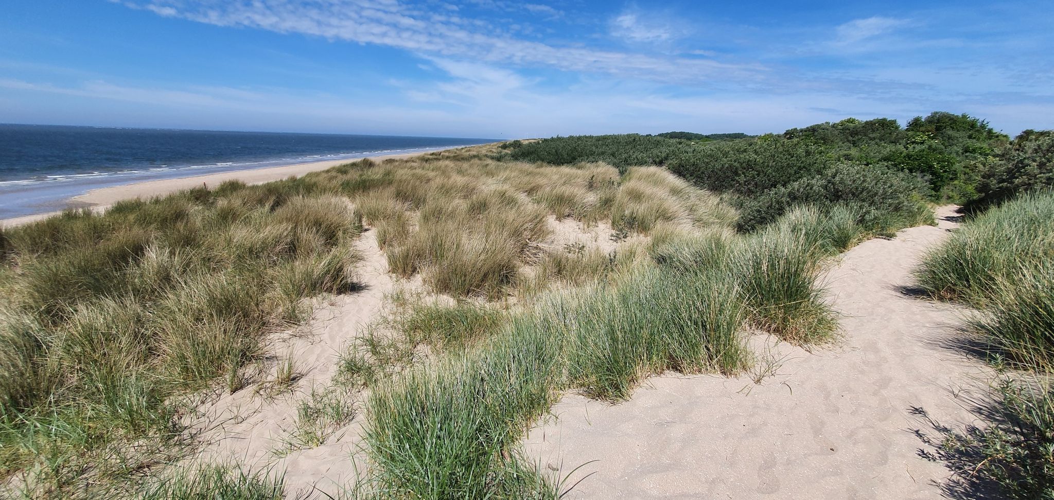 Top of the dune