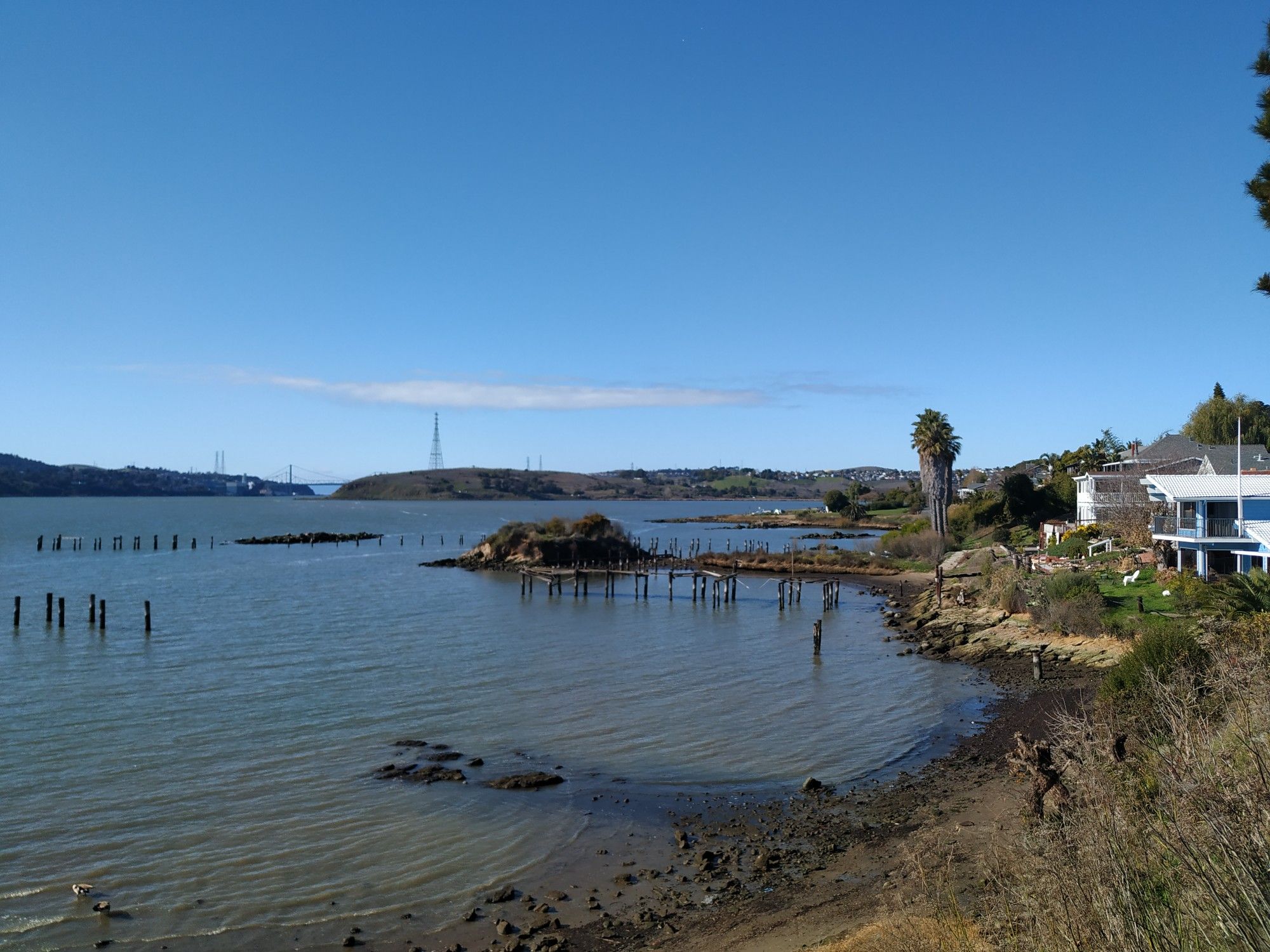 Sunny bay with old pier pilings, distant bridge, and shoreline houses. - Bay Area Ridge Trail: Benicia Shoreline