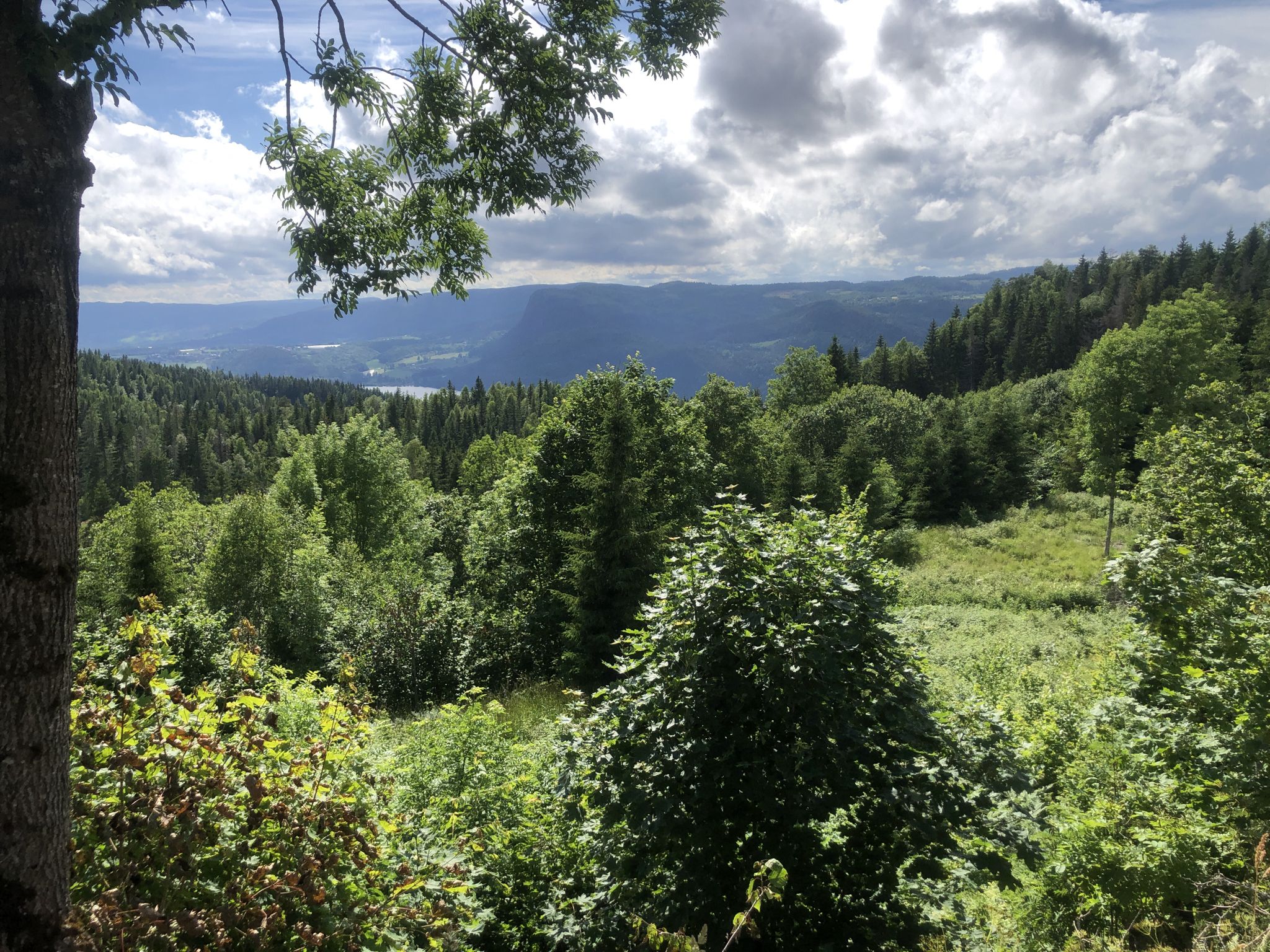 Hoch oben - auf 300 Meter