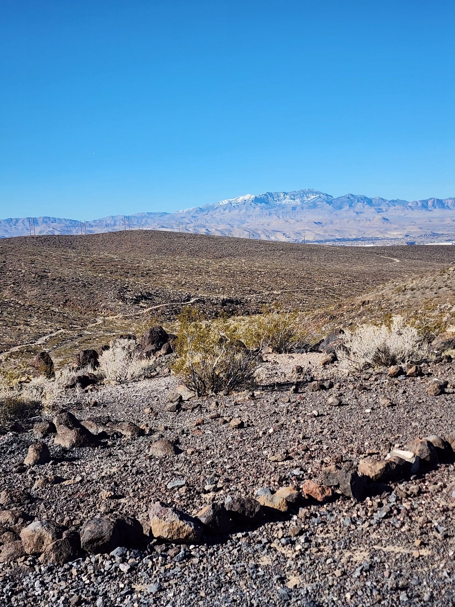 Rocky desert foreground with sparse vegetation and distant snow-capped mountains under blue sky. - 701 Loop (Southern Edge) – McCullough Hills Trailhead loop from Eastbound Horizon Rdg after Viento Puntero