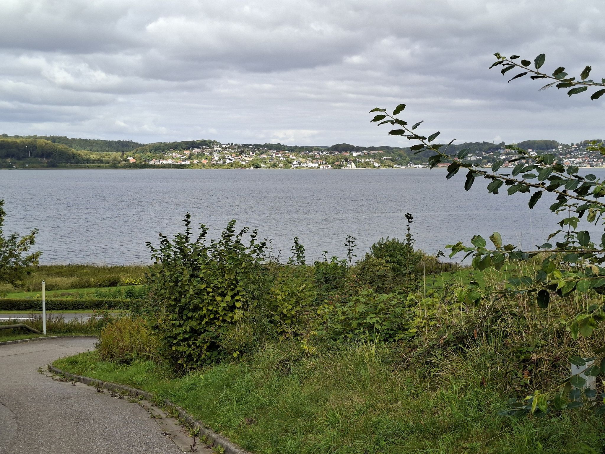 Blick nach Vejle Fjord