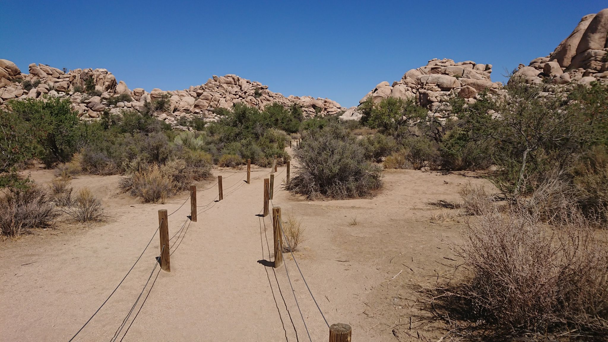 Start of trail