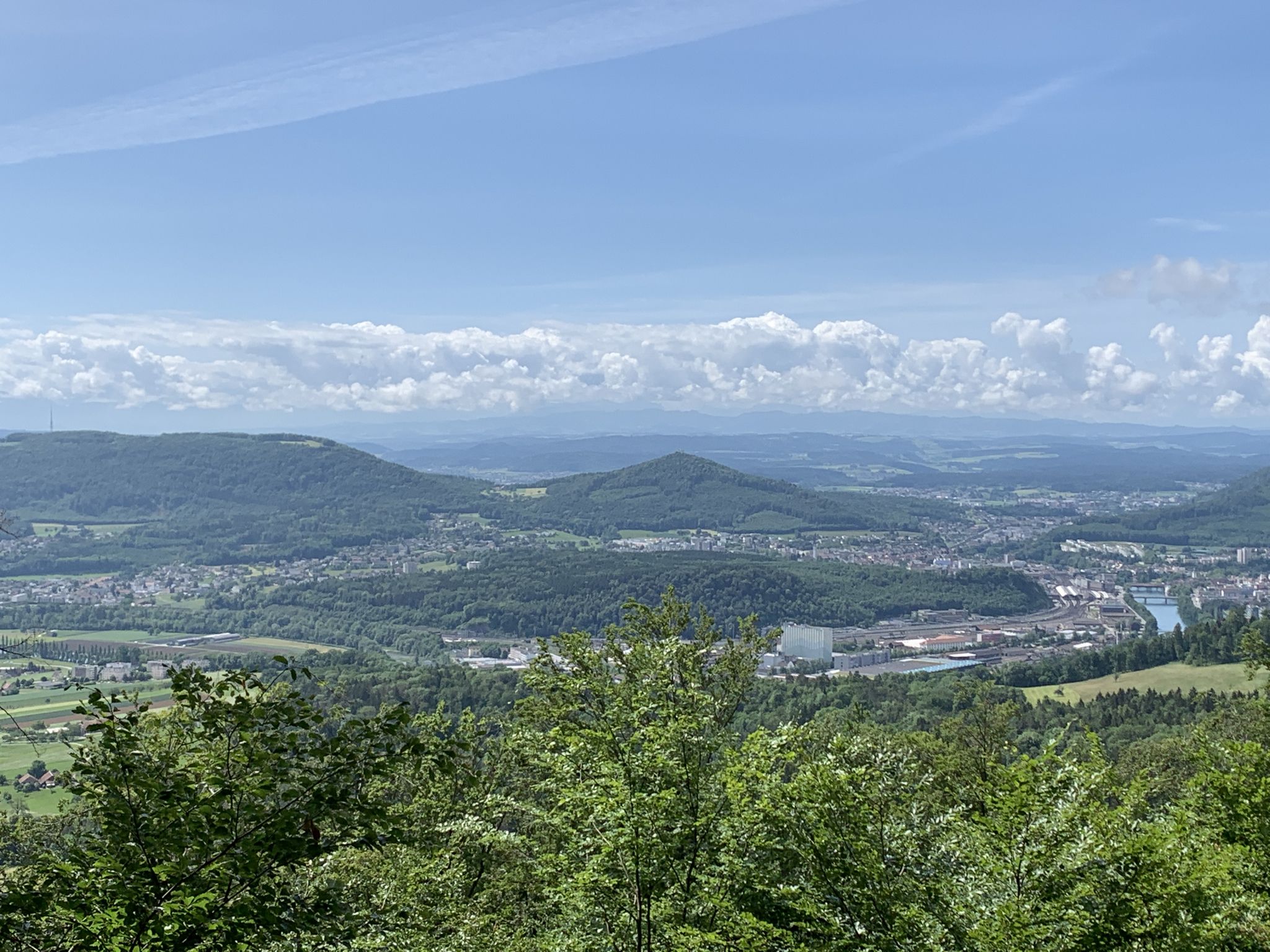 Aussicht auf Aare und Olten