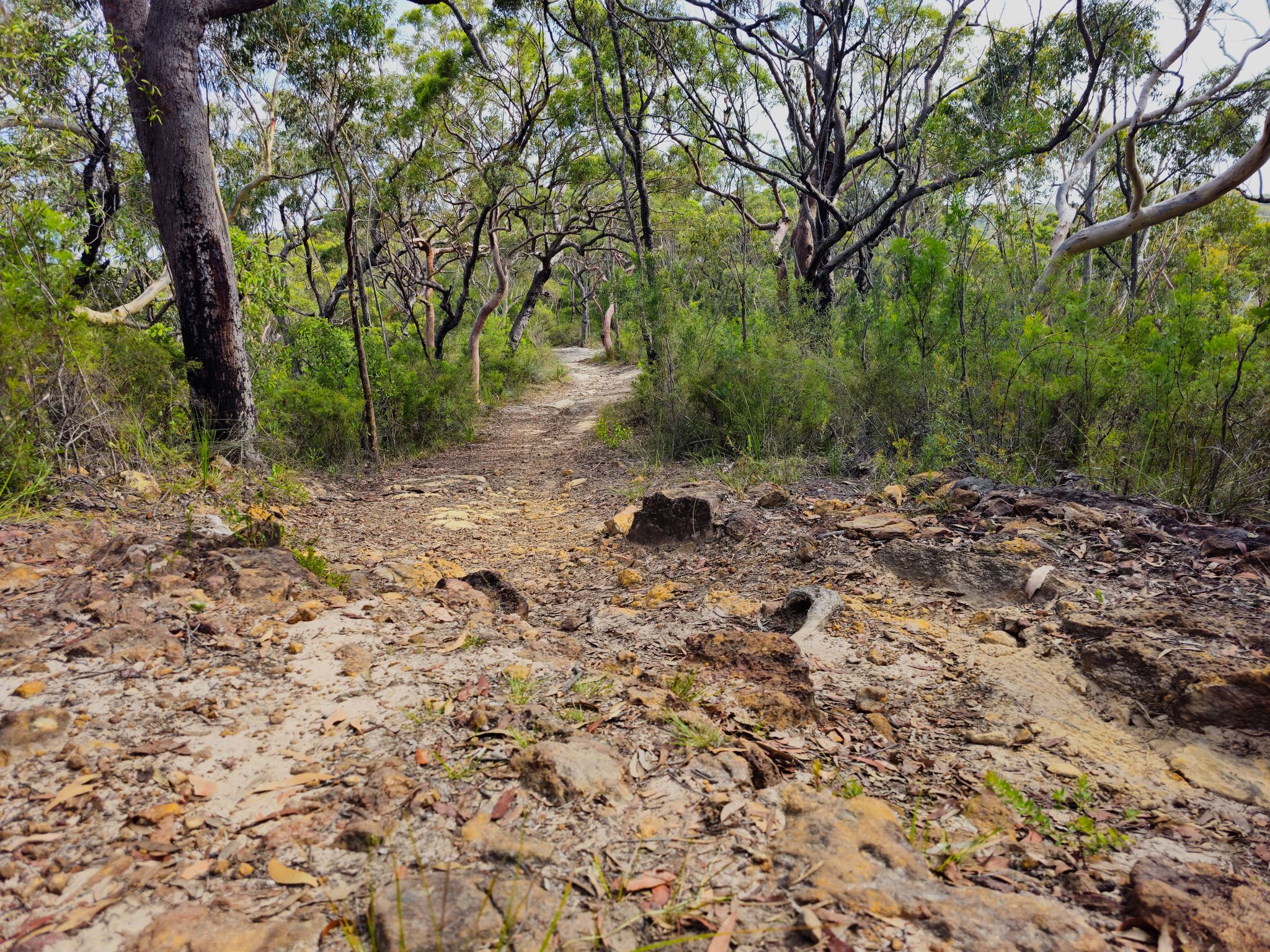 Cowan Track
