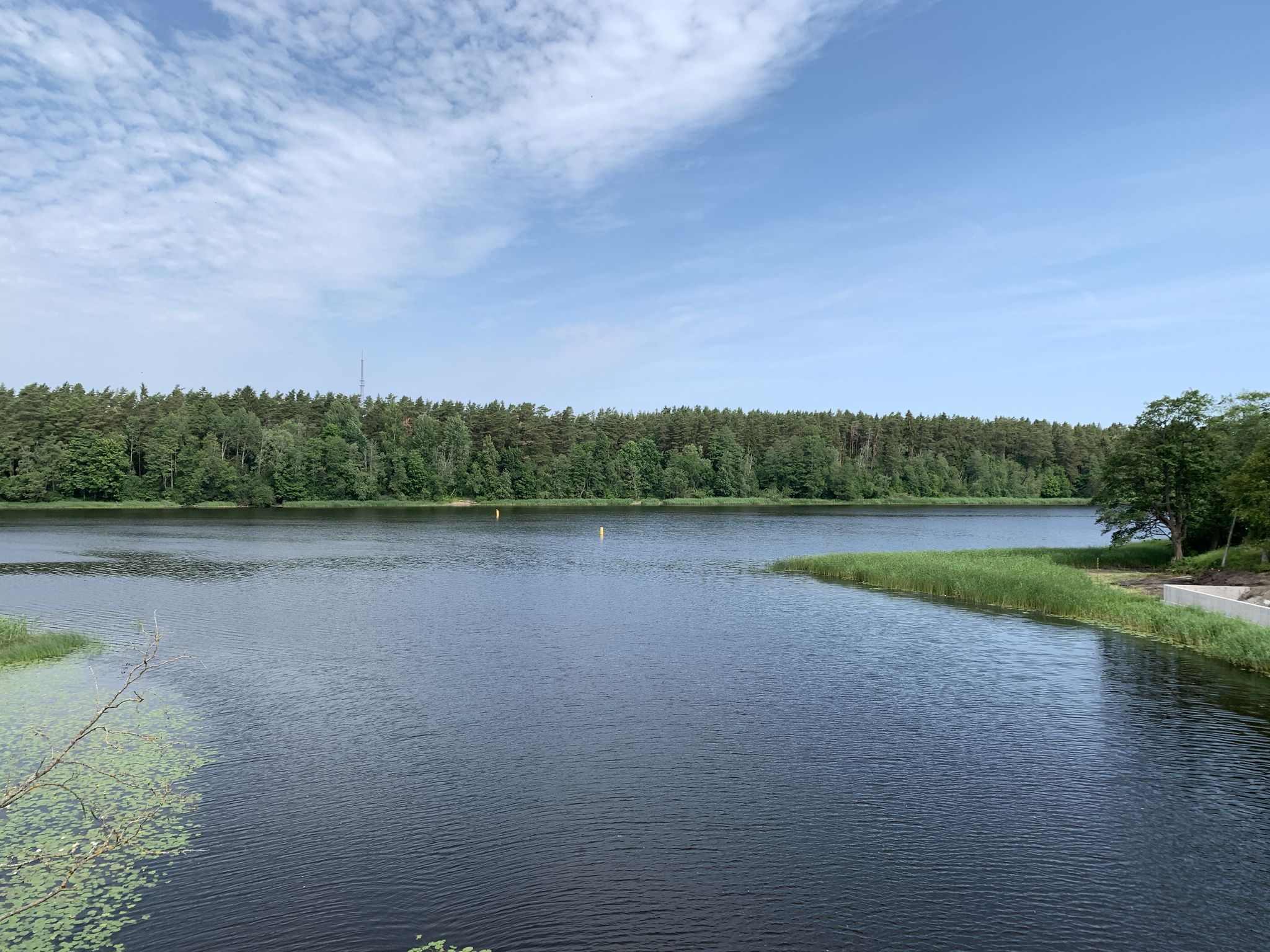 Der Reiu jögi mündet in die Pärnu jögi