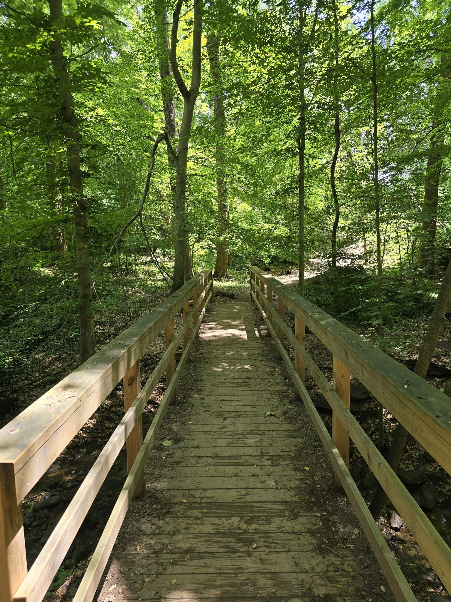 Wooden footbridge extending into a bright, green, sunlit forest. - Battery Kemble Trail Loop