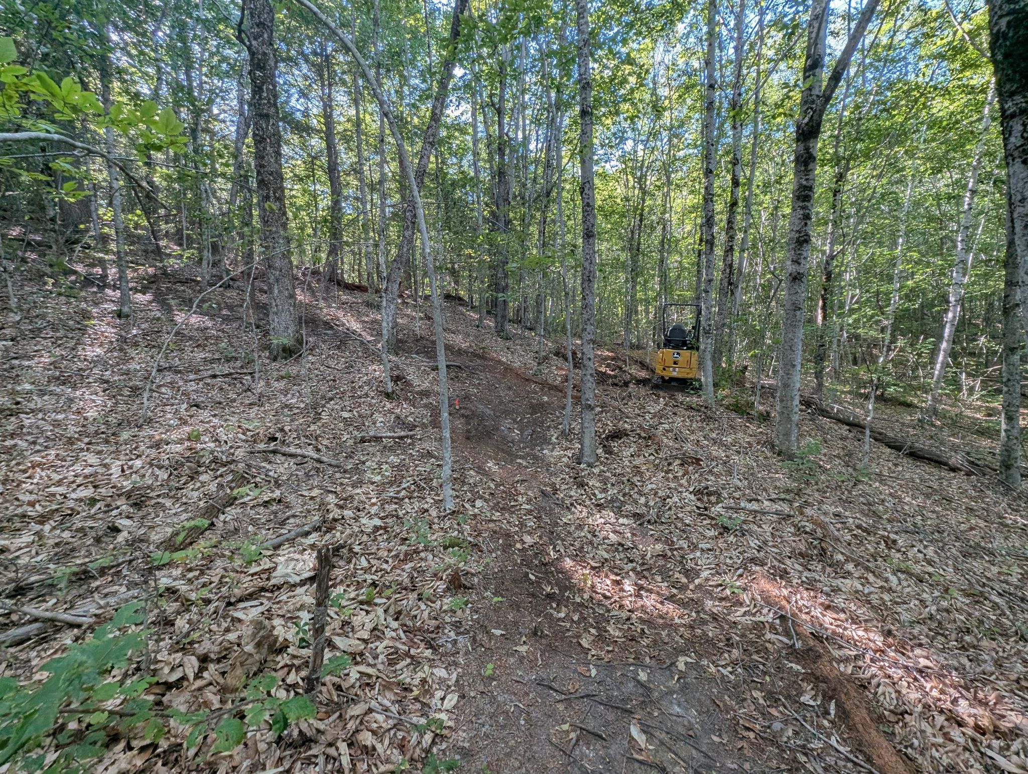 A narrow dirt path through a sunlit forest with a yellow excavator in the distance. - Cross Falmouth Trail