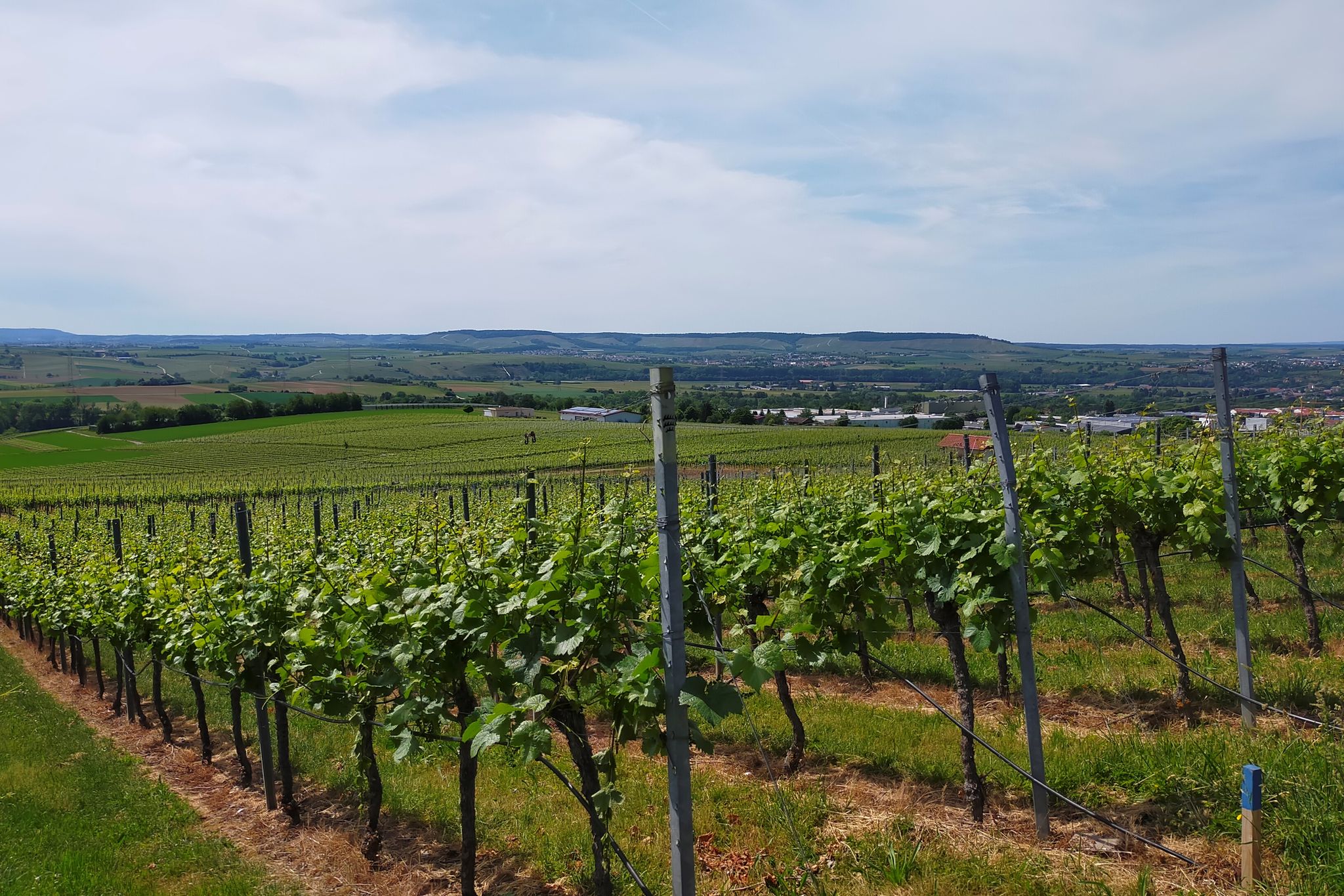 Blick vom Haigern
