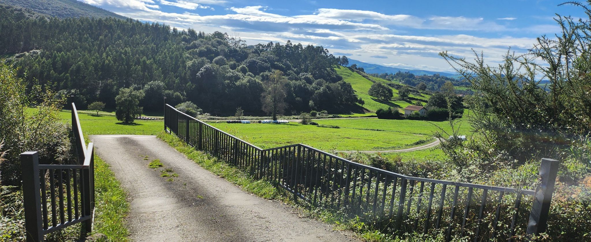 Estradas