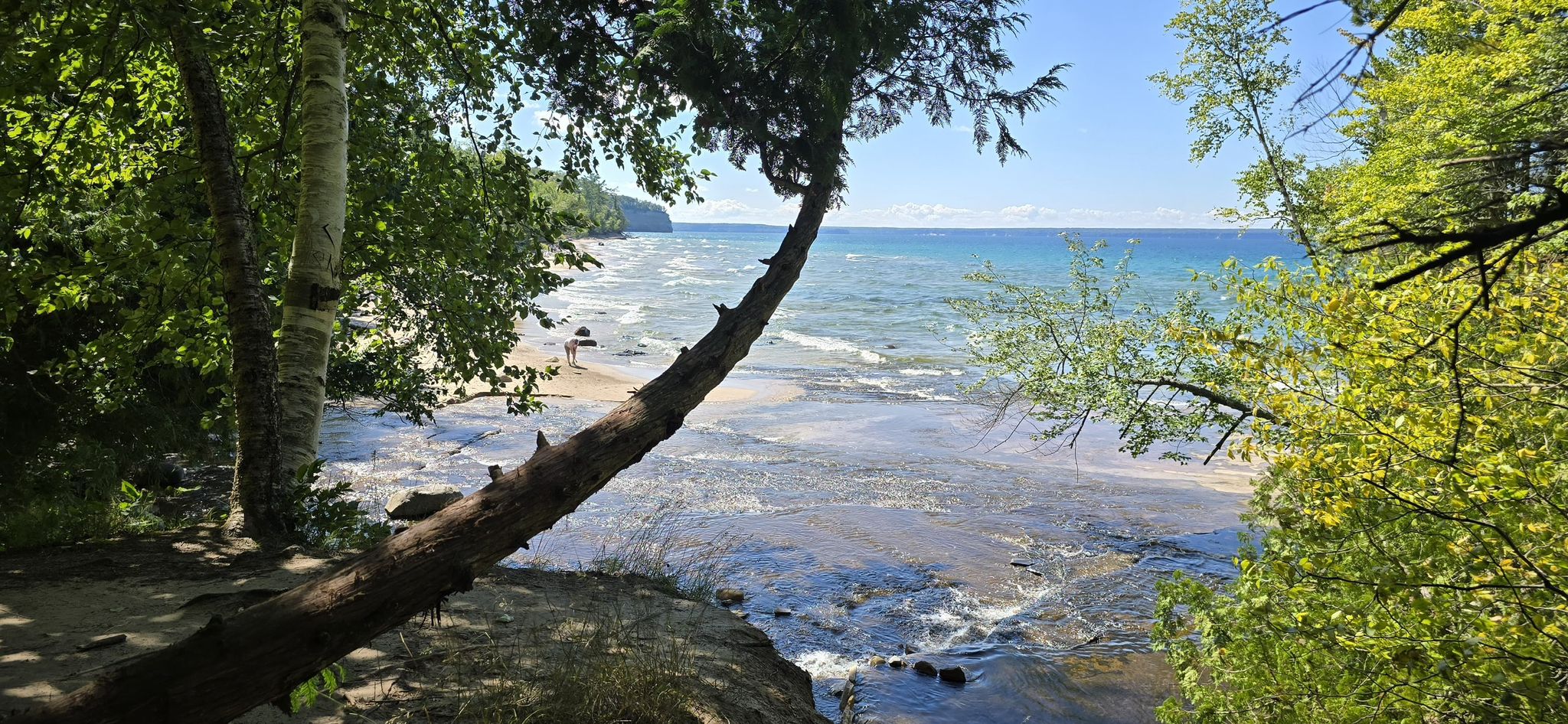 Sunny beach with blue water, green trees, and distant people walking. - Chapel Rock Trail