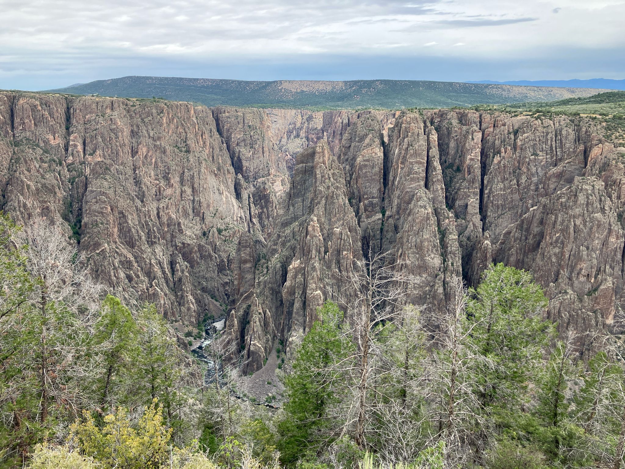 Deep canyon with dark, steep rock walls and green trees under cloudy sky. - Oak Flat Loop Trail