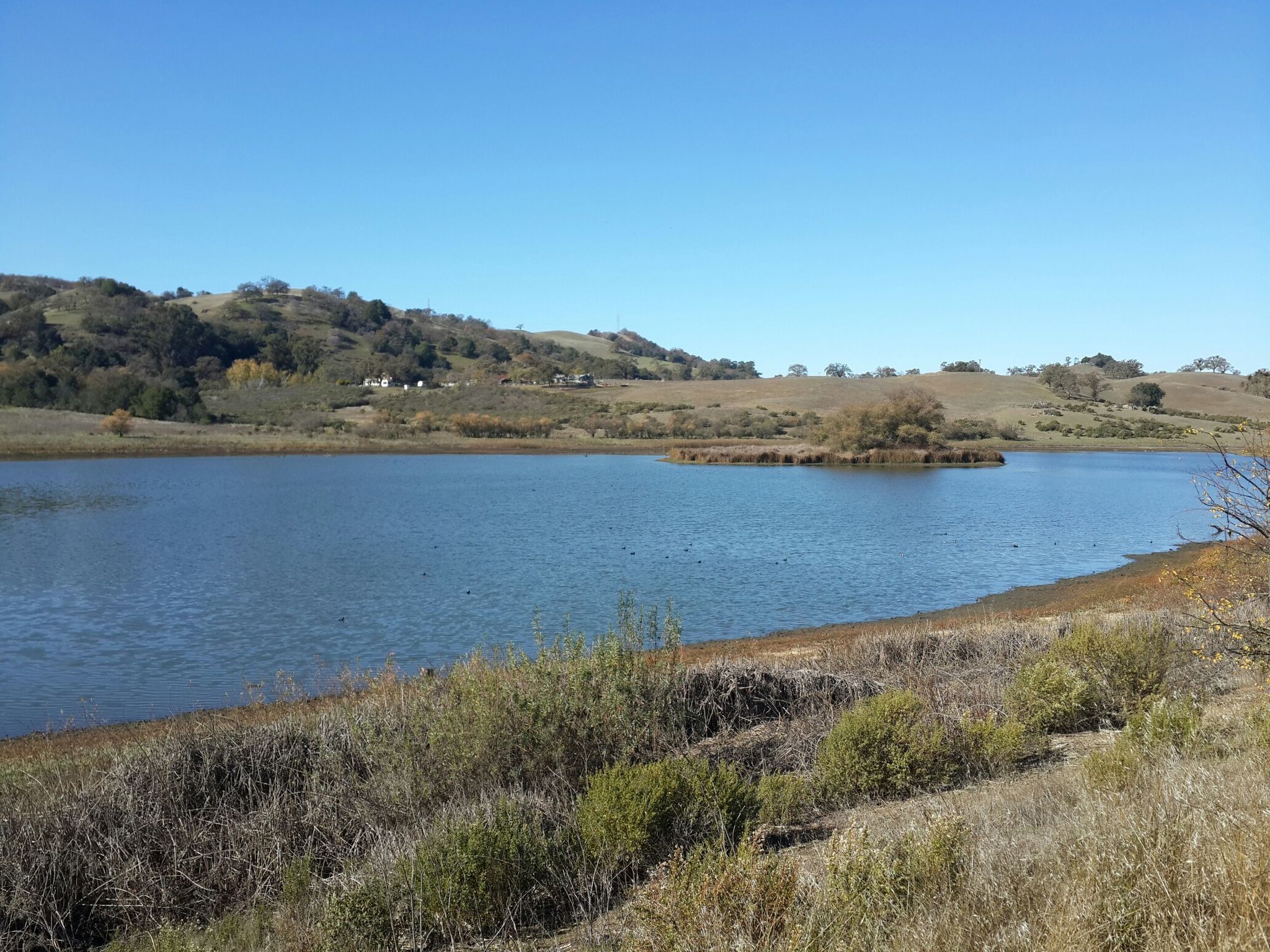 Calm lake surrounded by dry hills under a clear blue sky. - Dutch Flat to Yerba Buena Loop