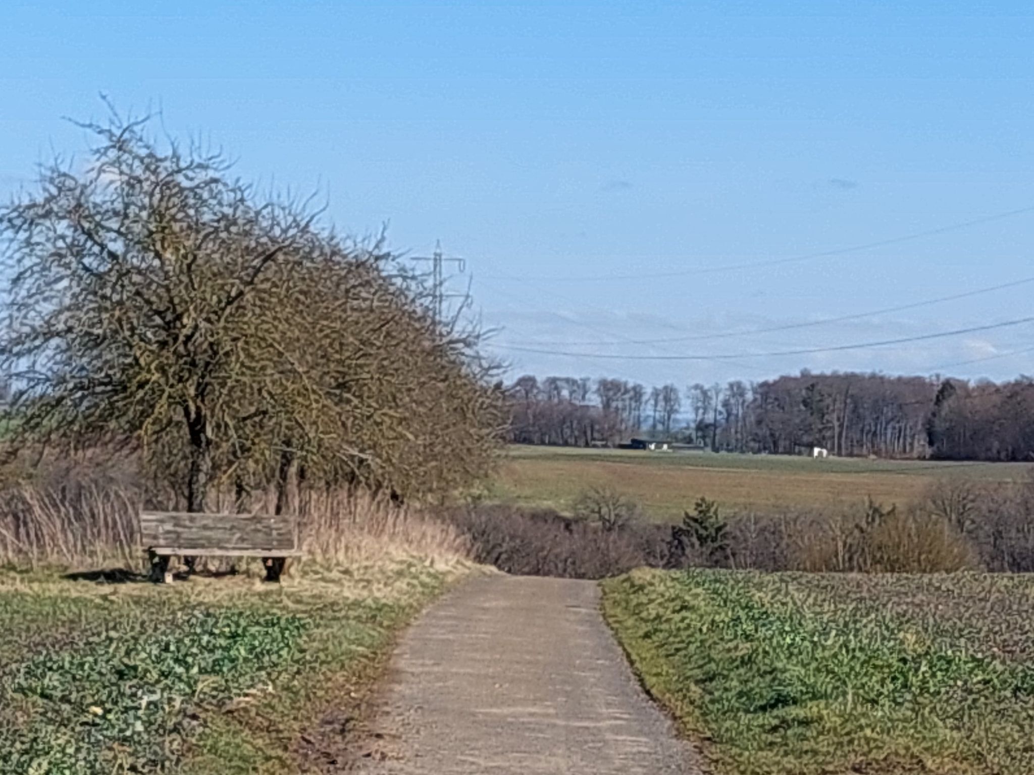 Blick Sportplatz Binningen