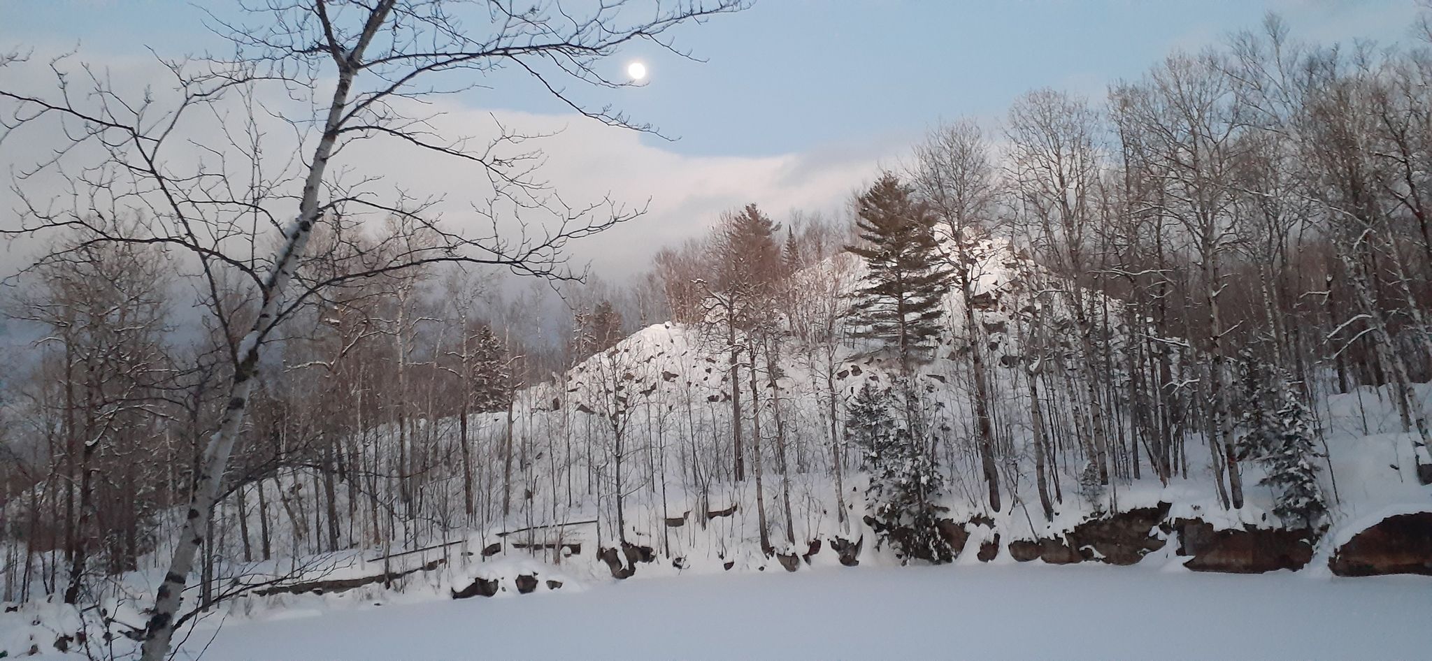 Winter landscape with snow-covered trees, a hill, and a bright moon. - Westside and Serenity Trail Loop