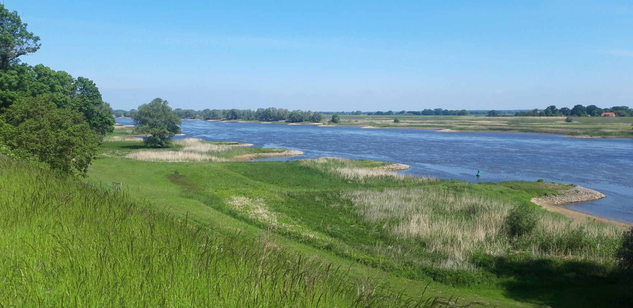 Elbe 
