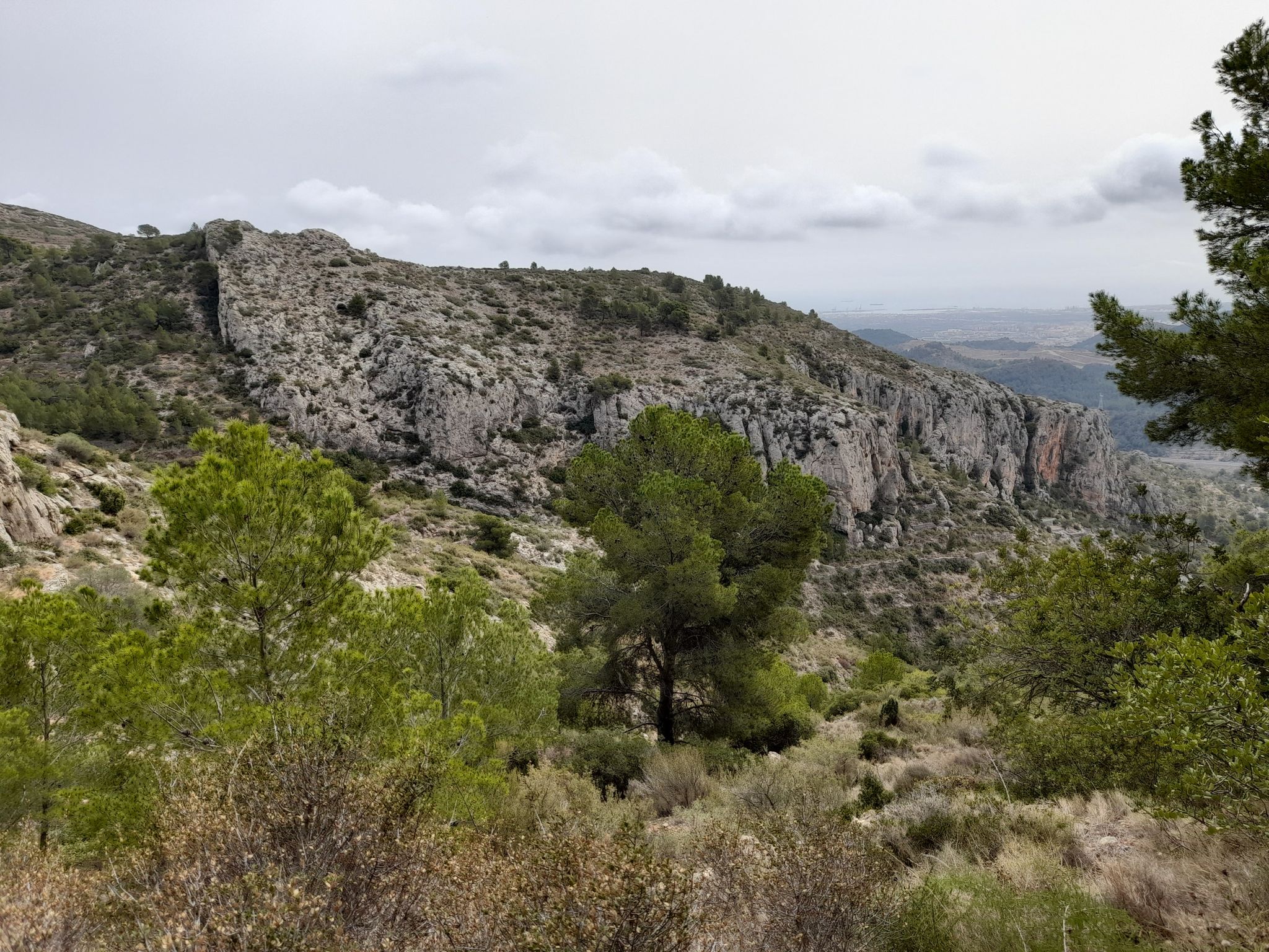 Formación geológica
