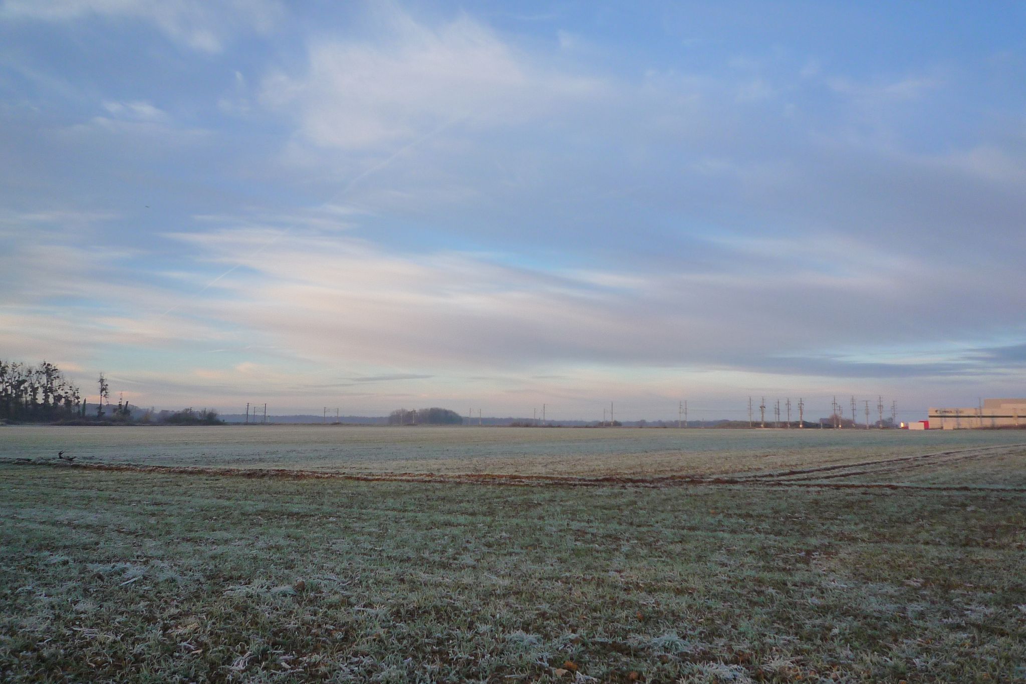 Gelée blanche dans les champs