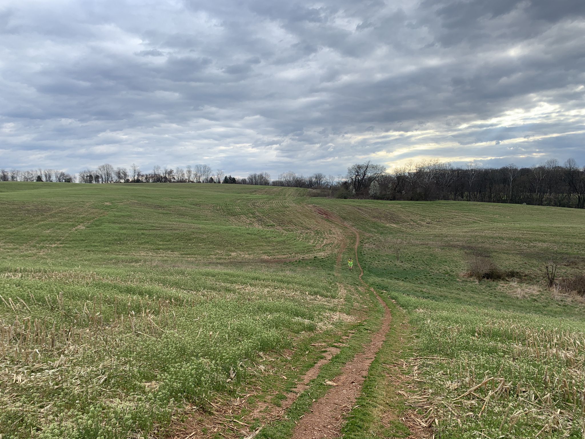 Dirt path winding through a green field under a cloudy sky. - Schaeffer Farms Blue and Yellow Loop