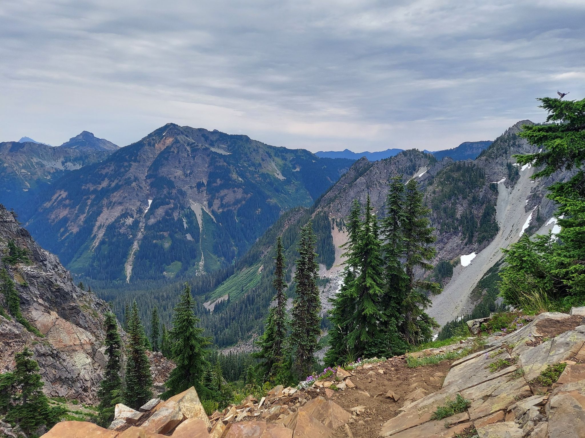 A panoramic view of rugged, forested mountains and valleys under a cloudy sky. - Kendall Katwalk Trail