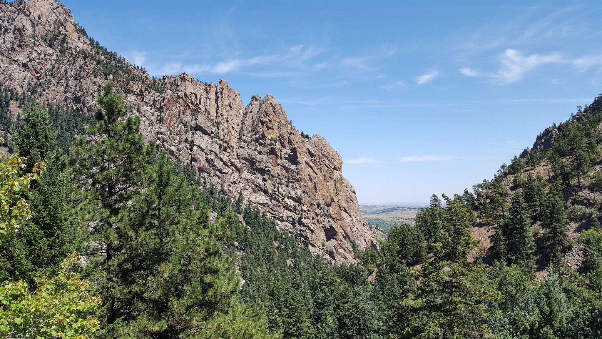 Rocky mountains and pine trees in a sunny valley under a blue sky. - Rattlesnake Gulch Loop