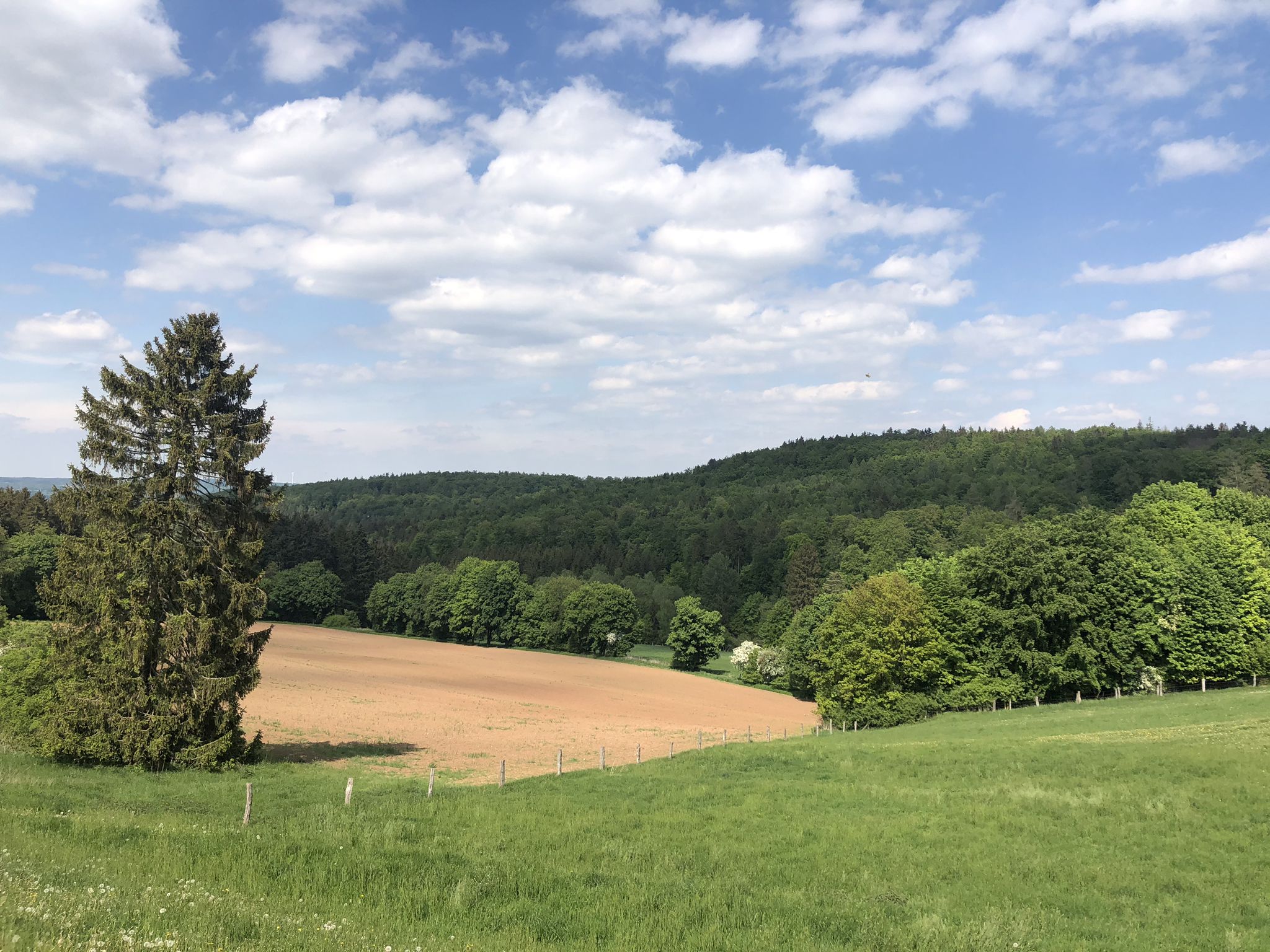 Eidinghausen
