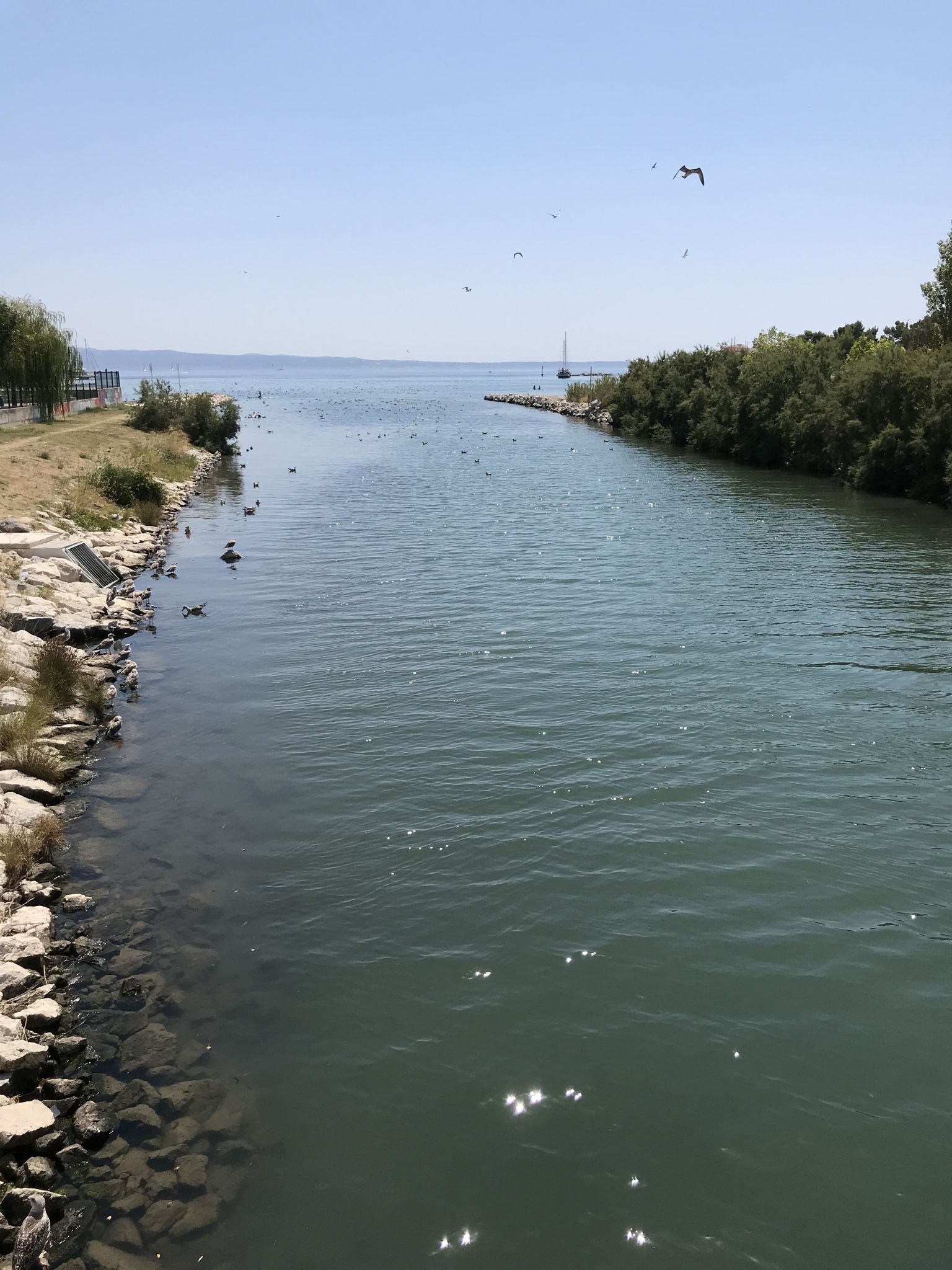 Ein Flussel geht ins Meer 
