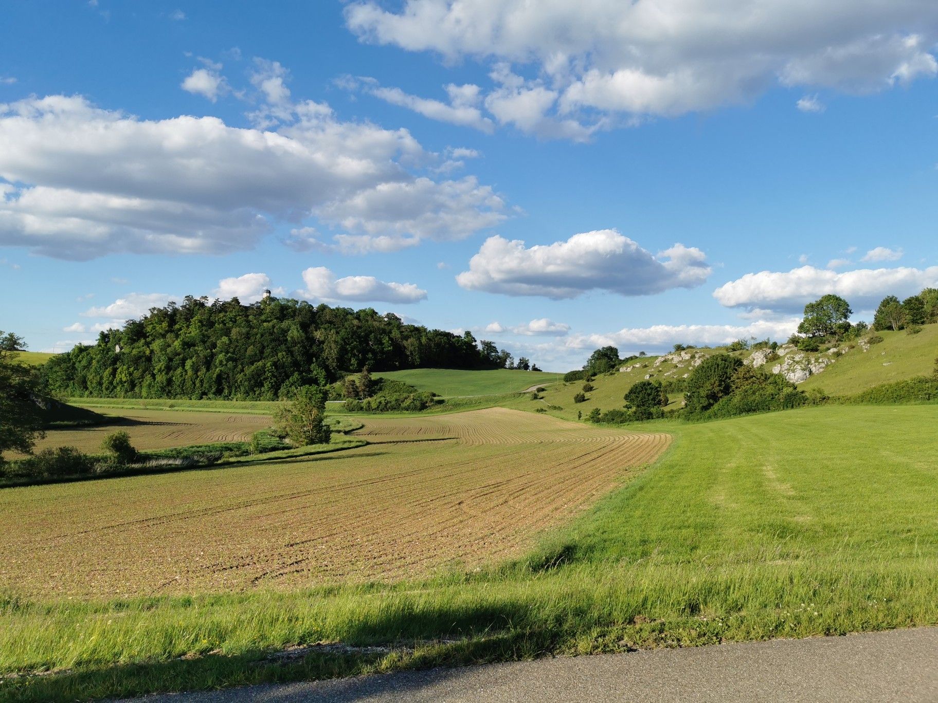 Blick auf Michelsberg
