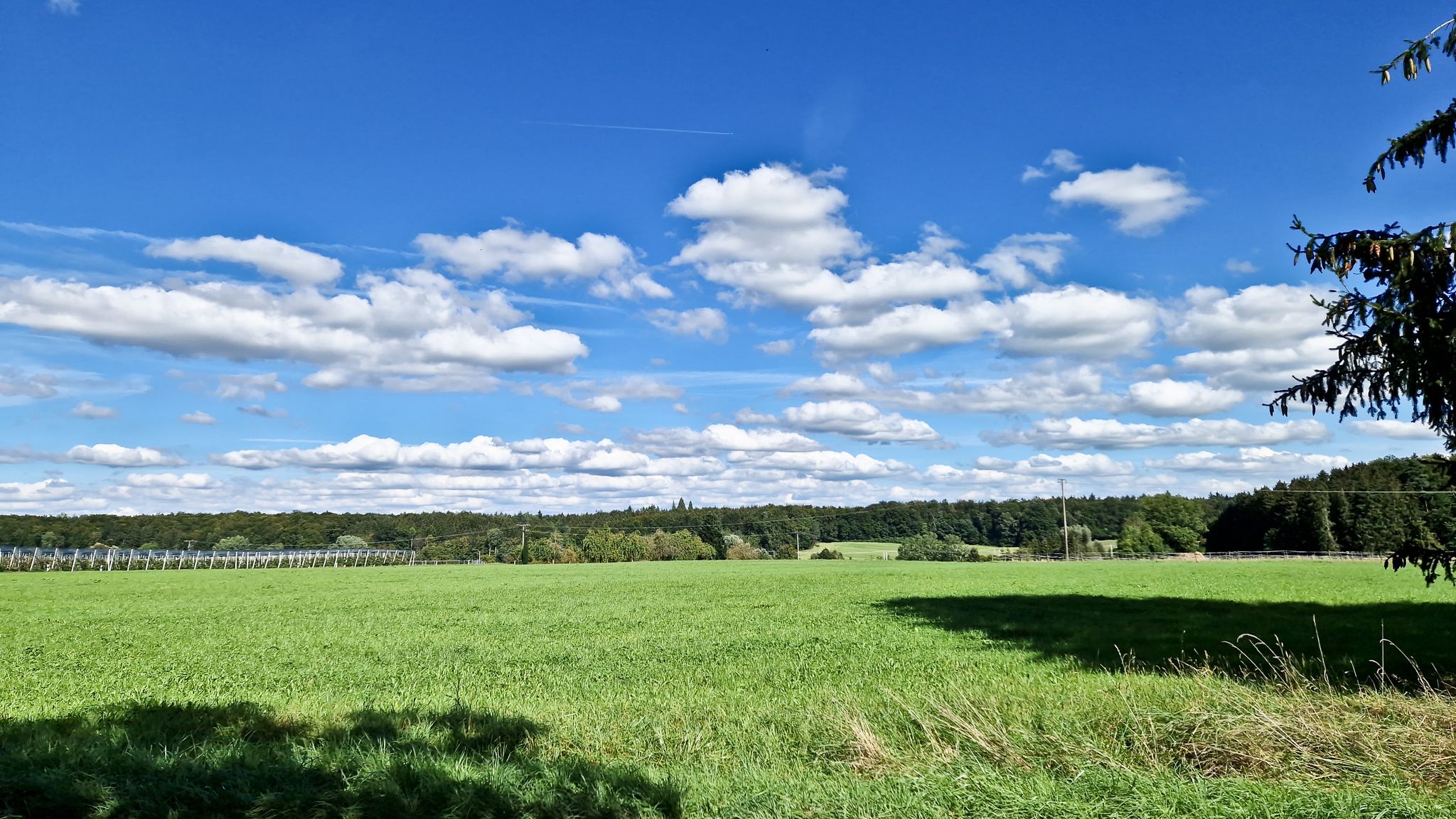 Flache Haufenwolken nennt man auch Schönwetter-Wolken. Ihre rasche Verdichtung verweist aber auf eine bevorstehende Änderung