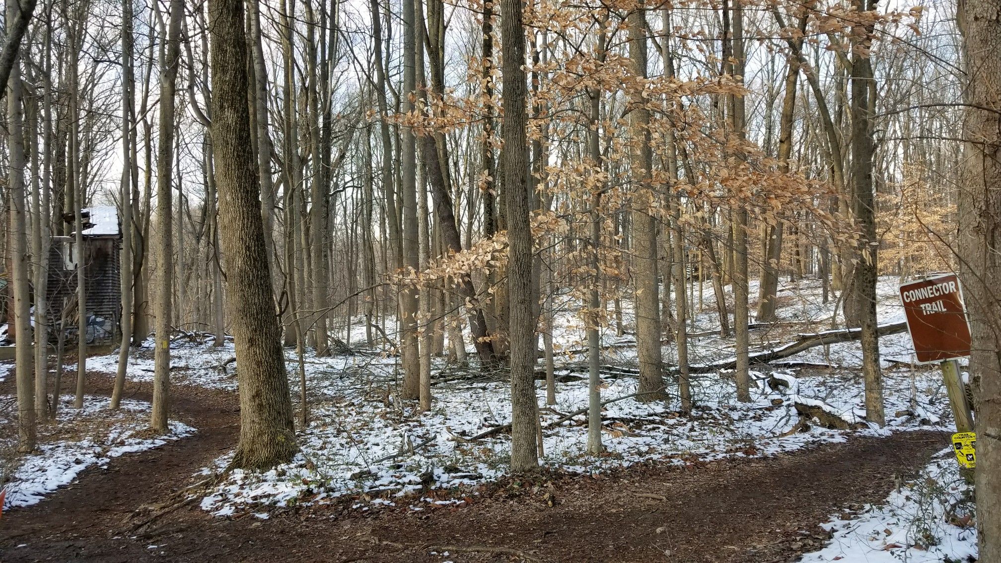 A snowy forest trail forks, surrounded by tall bare trees and a sign. - Morning Choice Trailhead – Rockburn Branch crossing loop from Rockburn Branch Park