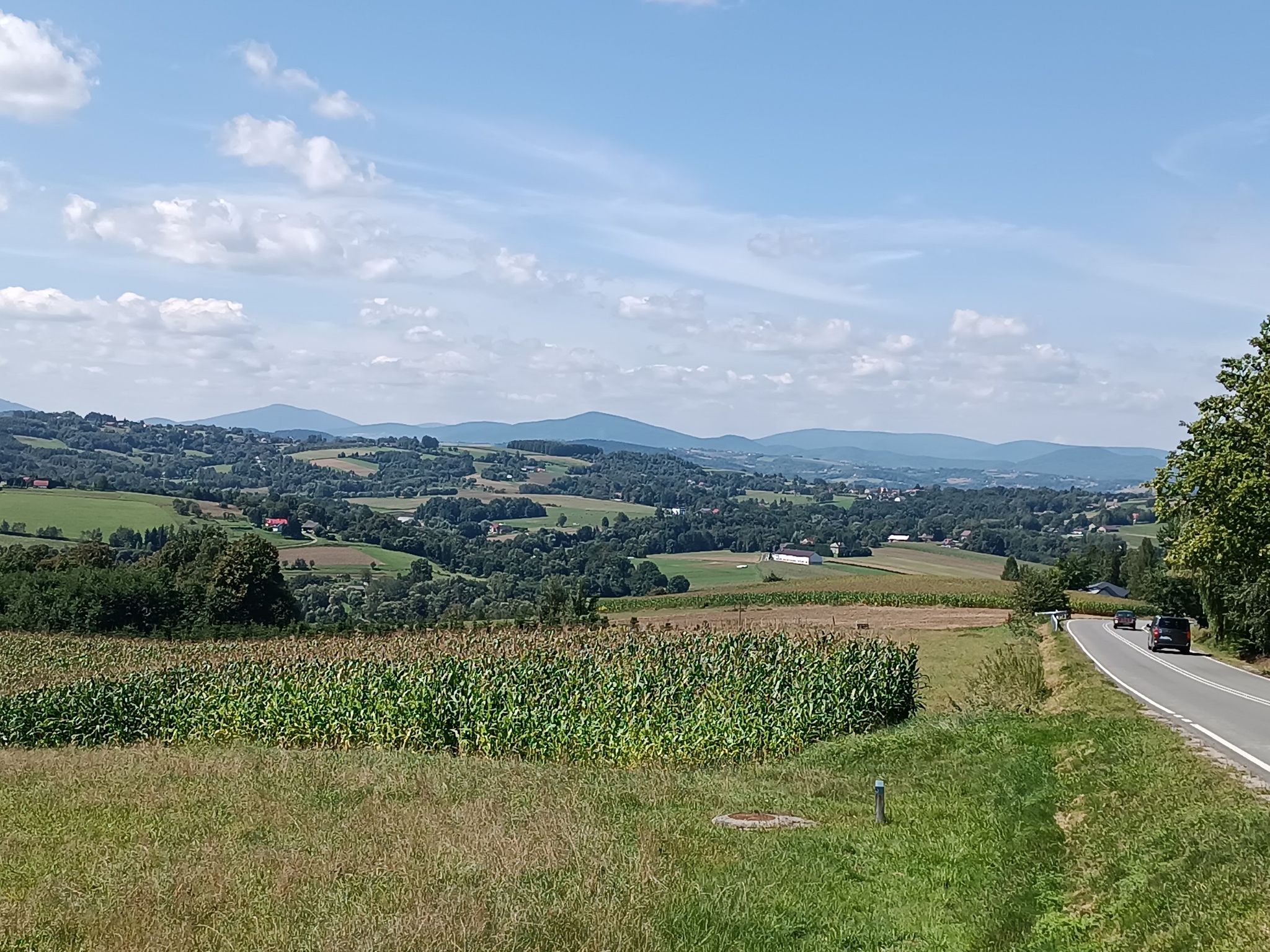 Trzciana