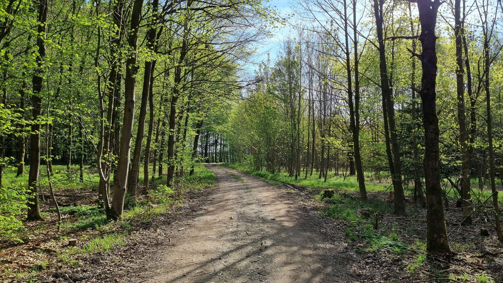 Ende in Sicht...