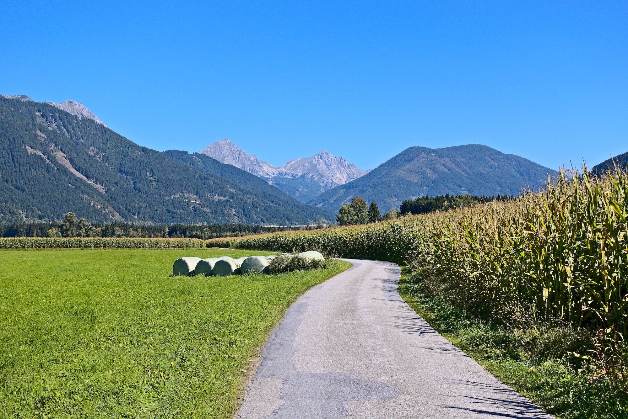 Wechsel vom Paltental ...