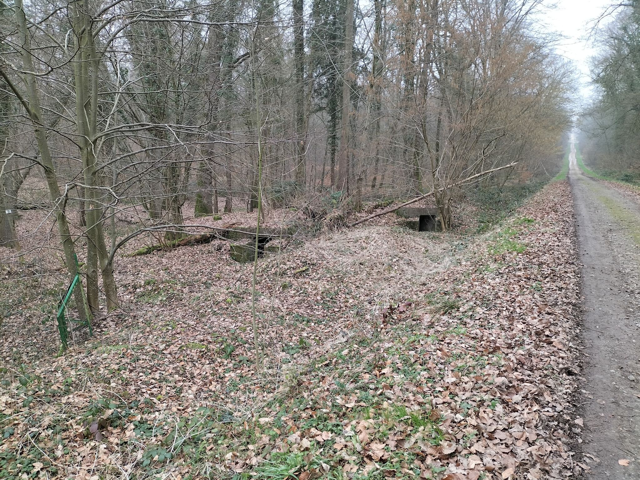 bunkers