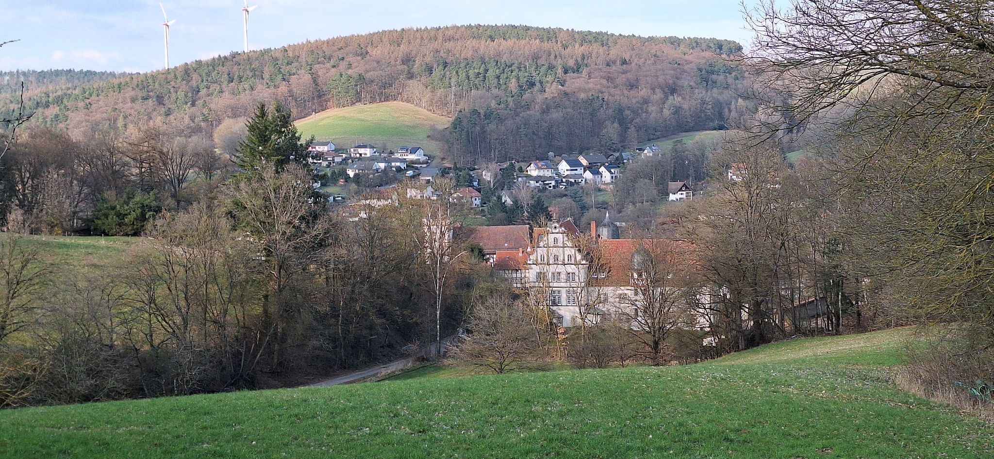 Schloss Buchenau