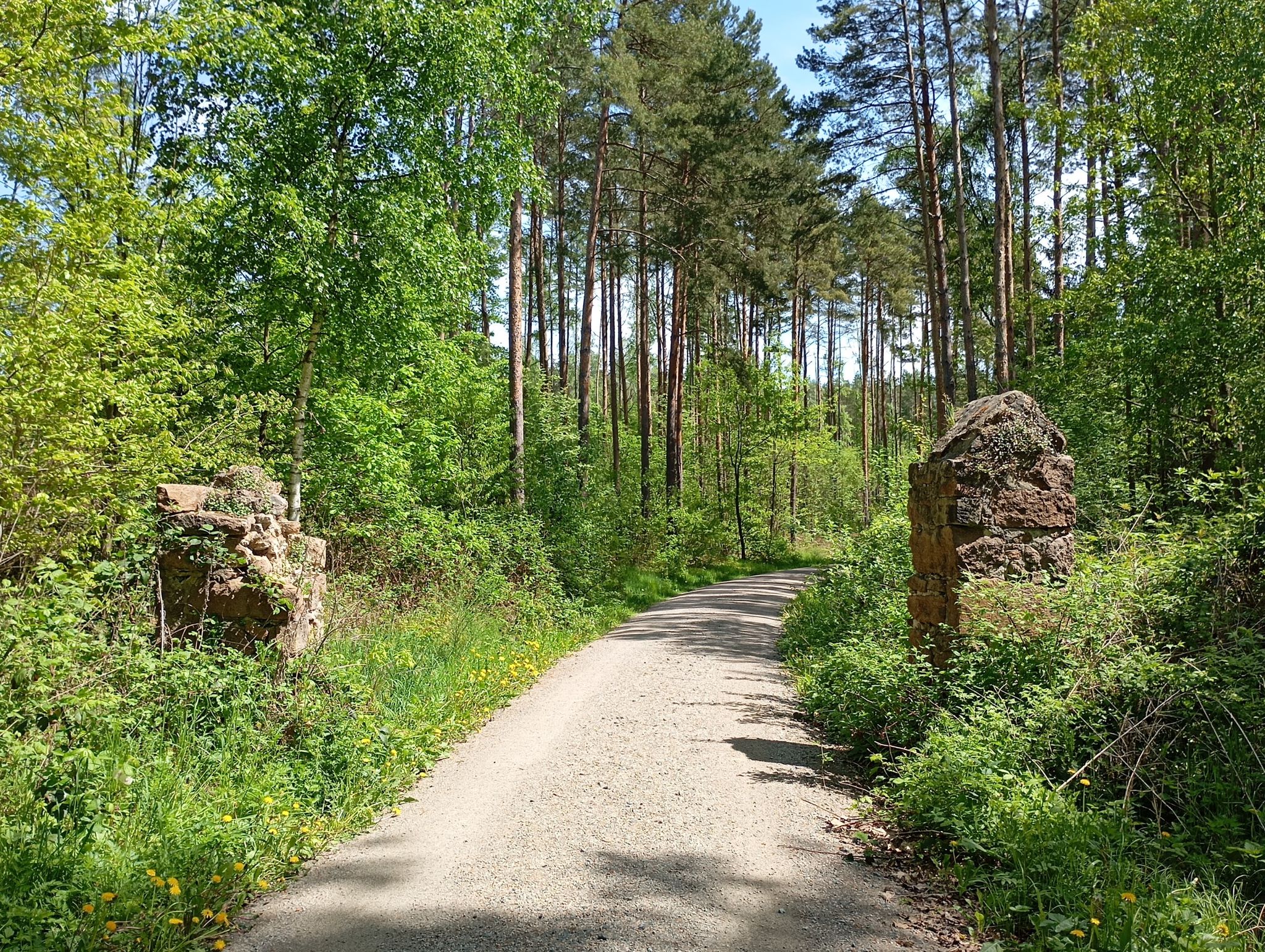 altes Tor