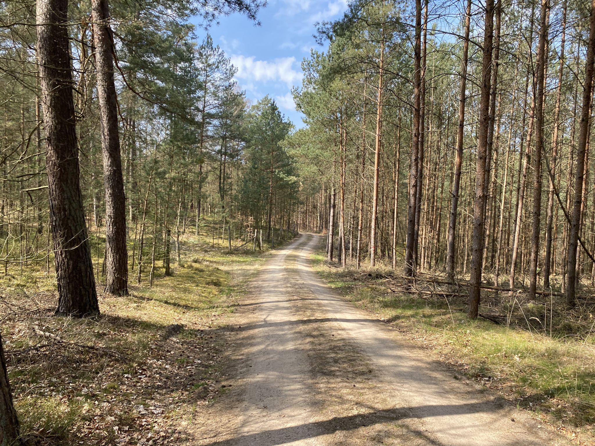 erst auf festem Waldweg