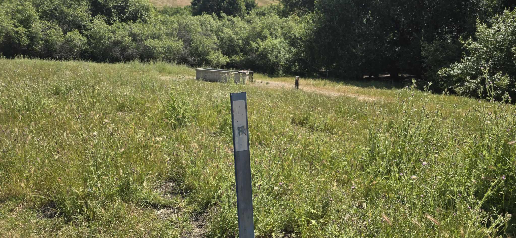 A trail marker in tall green grass with a person walking in the distance. - Diablo View and Alhambra Creek Trail Loop