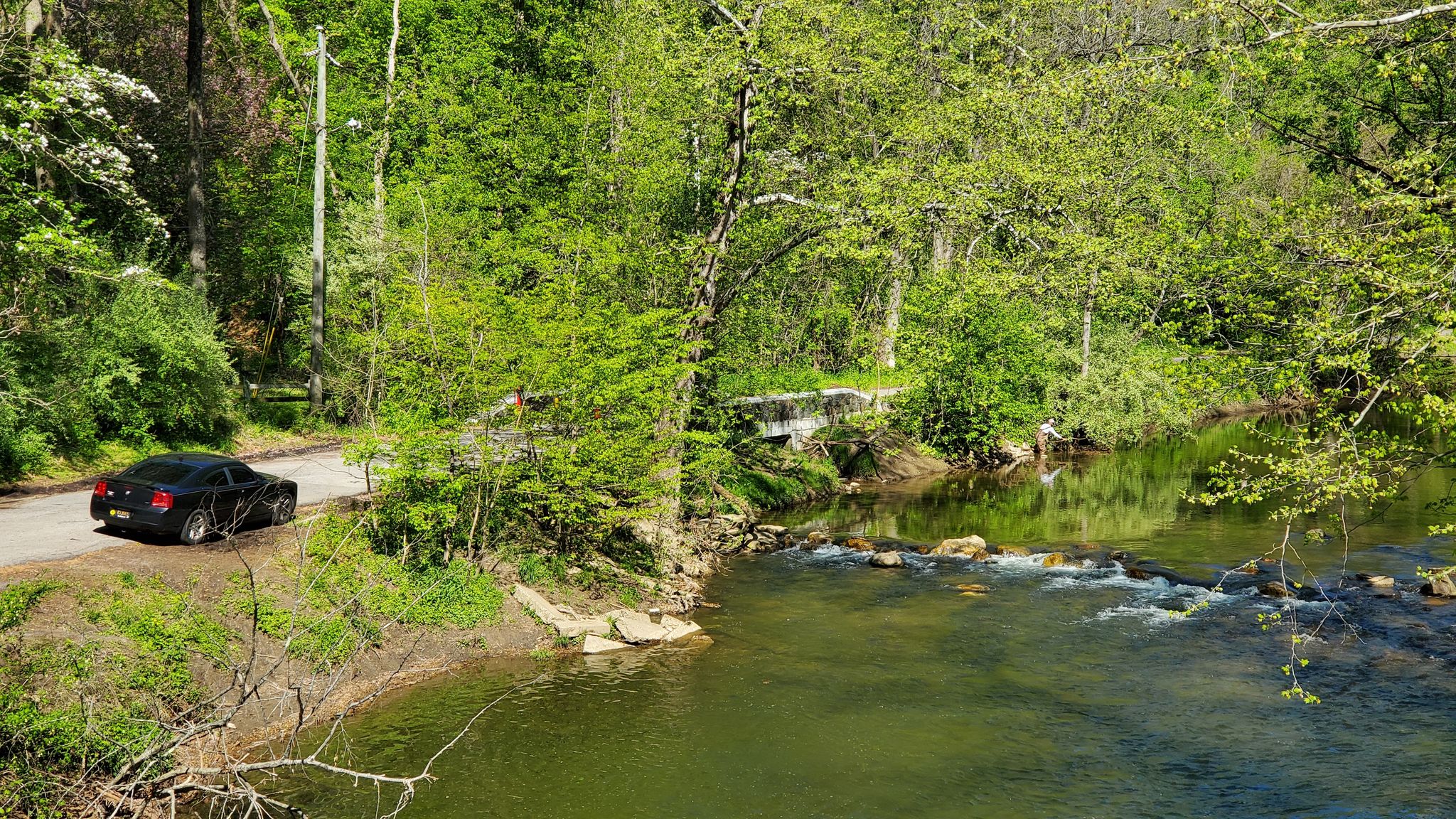 Black car parked by a green river and lush forest on a sunny day. - Pomeroy Trail – Pomeroy Trail loop from White Clay Creek State Park