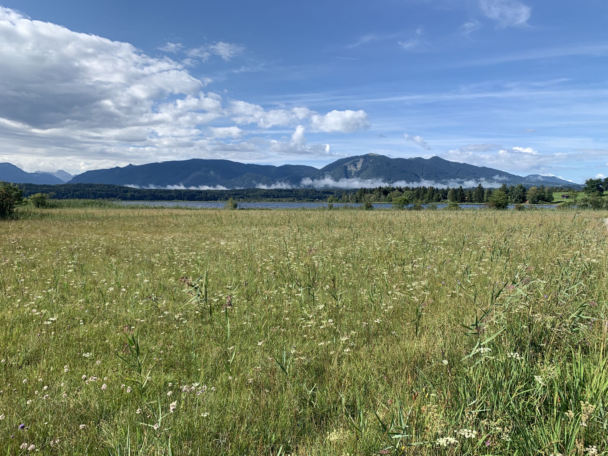 Westliche Seite des Staffelsees