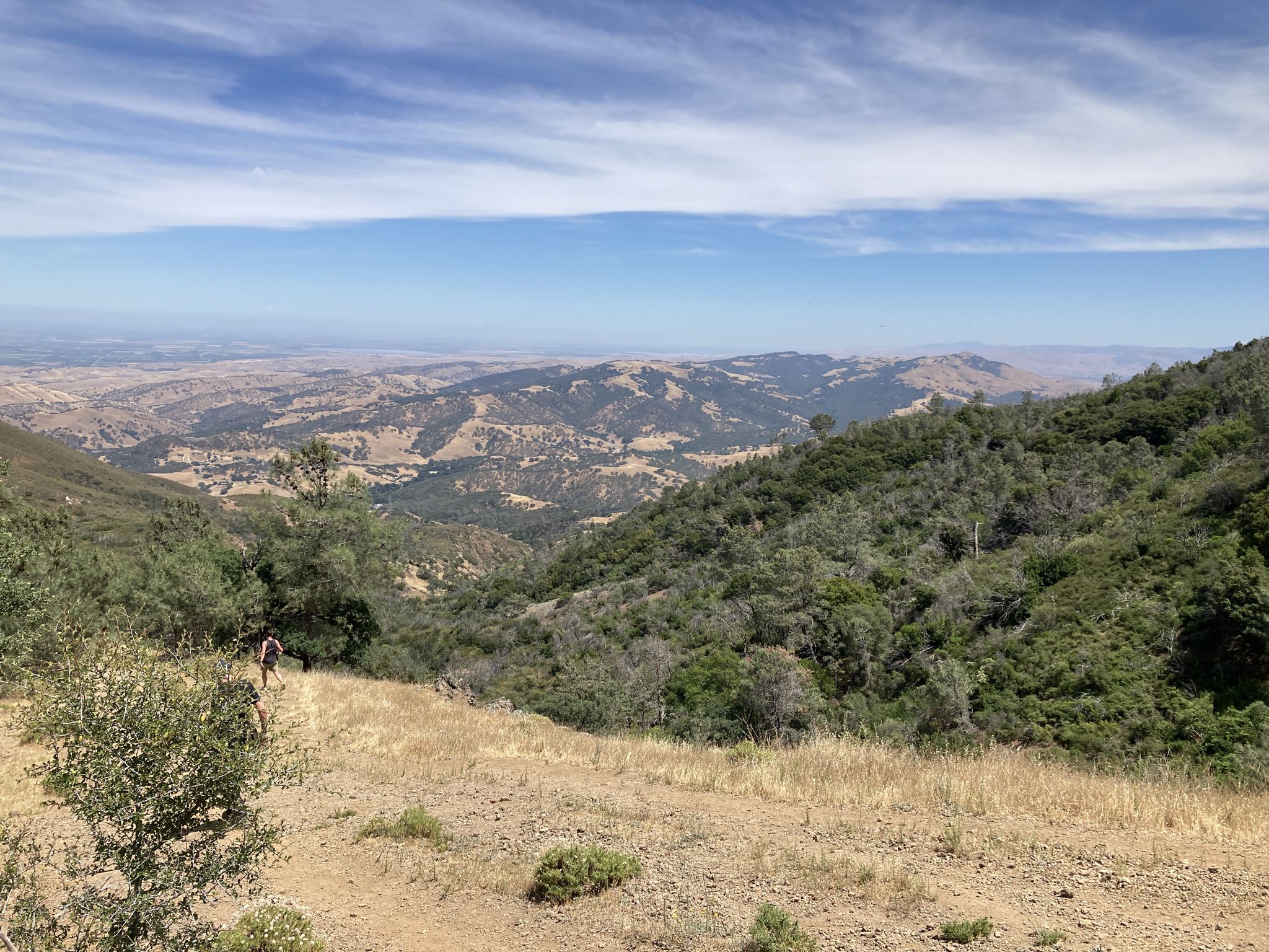Hiker on a dry, grassy hillside overlooking a vast, green, and dry valley. - Mount Diablo and North Peak Trail