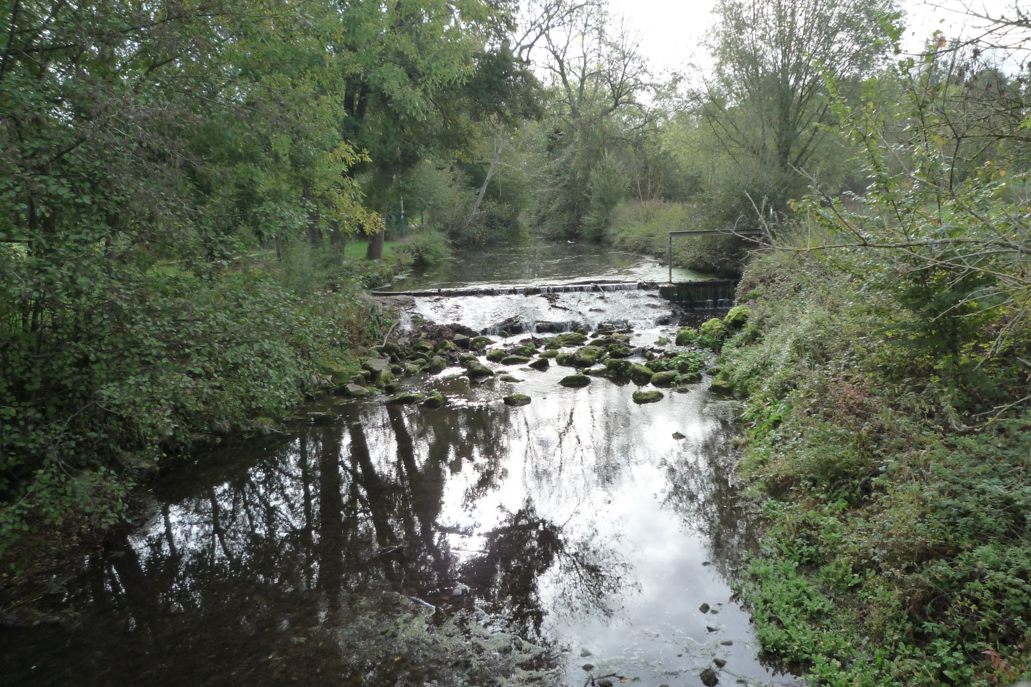 L'Yerres avant d'arriver à Argentières