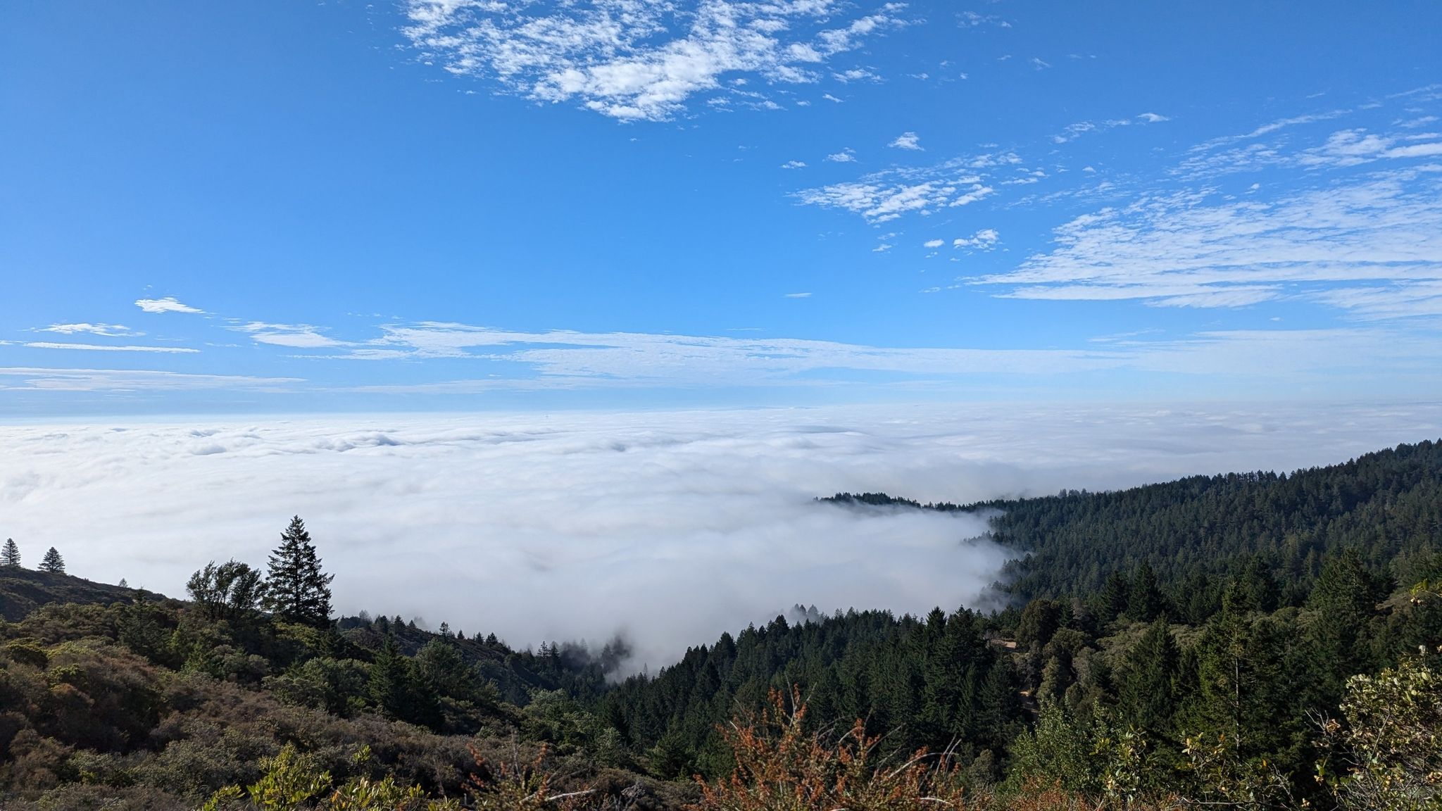 Vast cloud inversion filling a valley, with blue sky above. - Mountain Theater – Pantoll to East Peak Trail loop from Mount Tamalpais State Park